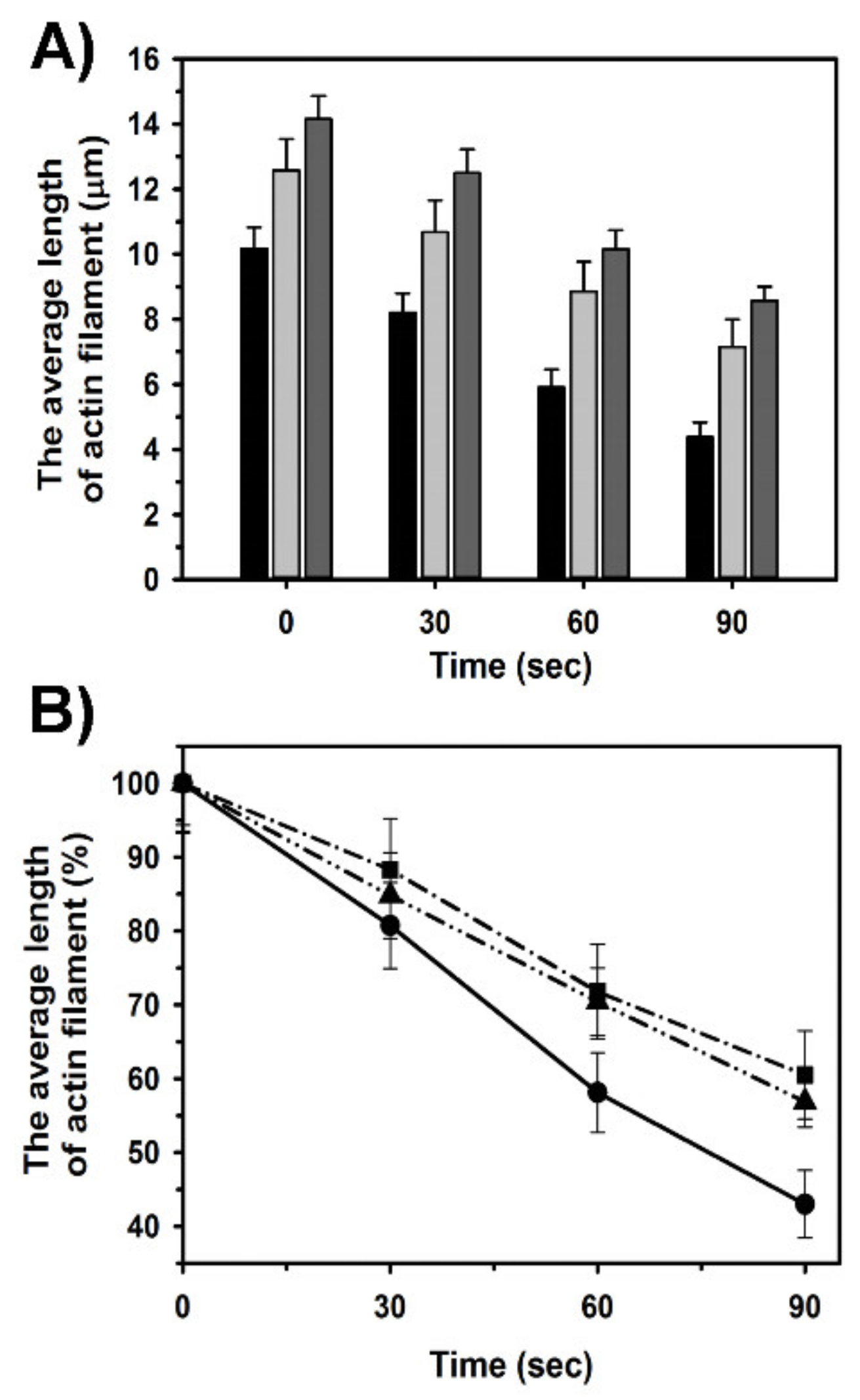 Ijms 21 04285 g005 Ijms 21 04285 g005