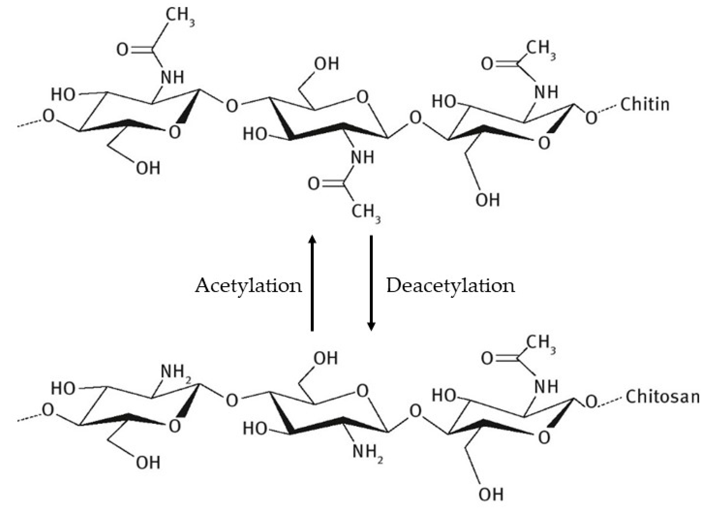 Ijms 21 04290 g001 Ijms 21 04290 g001
