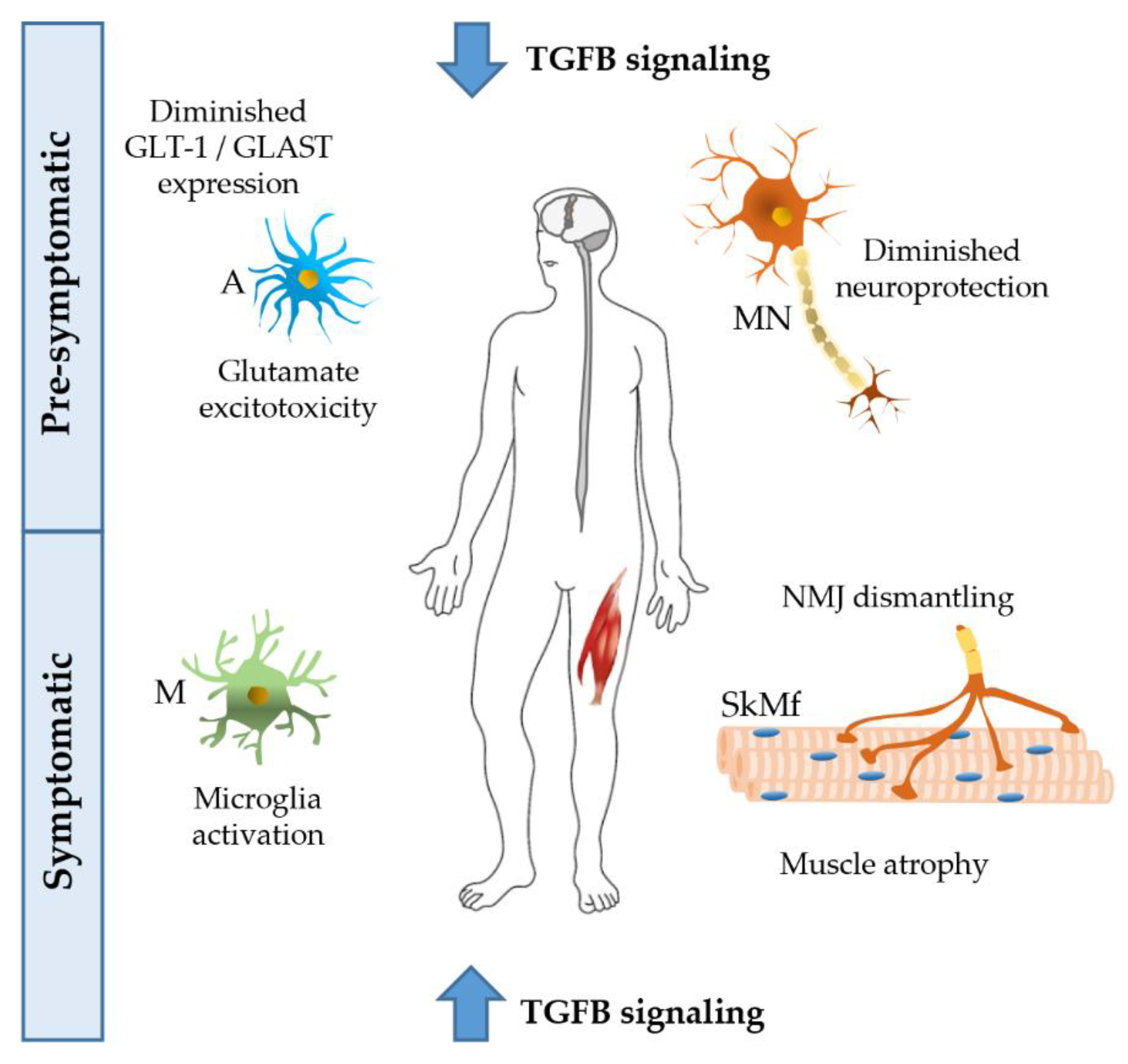 Ijms 21 04291 g002 Ijms 21 04291 g002