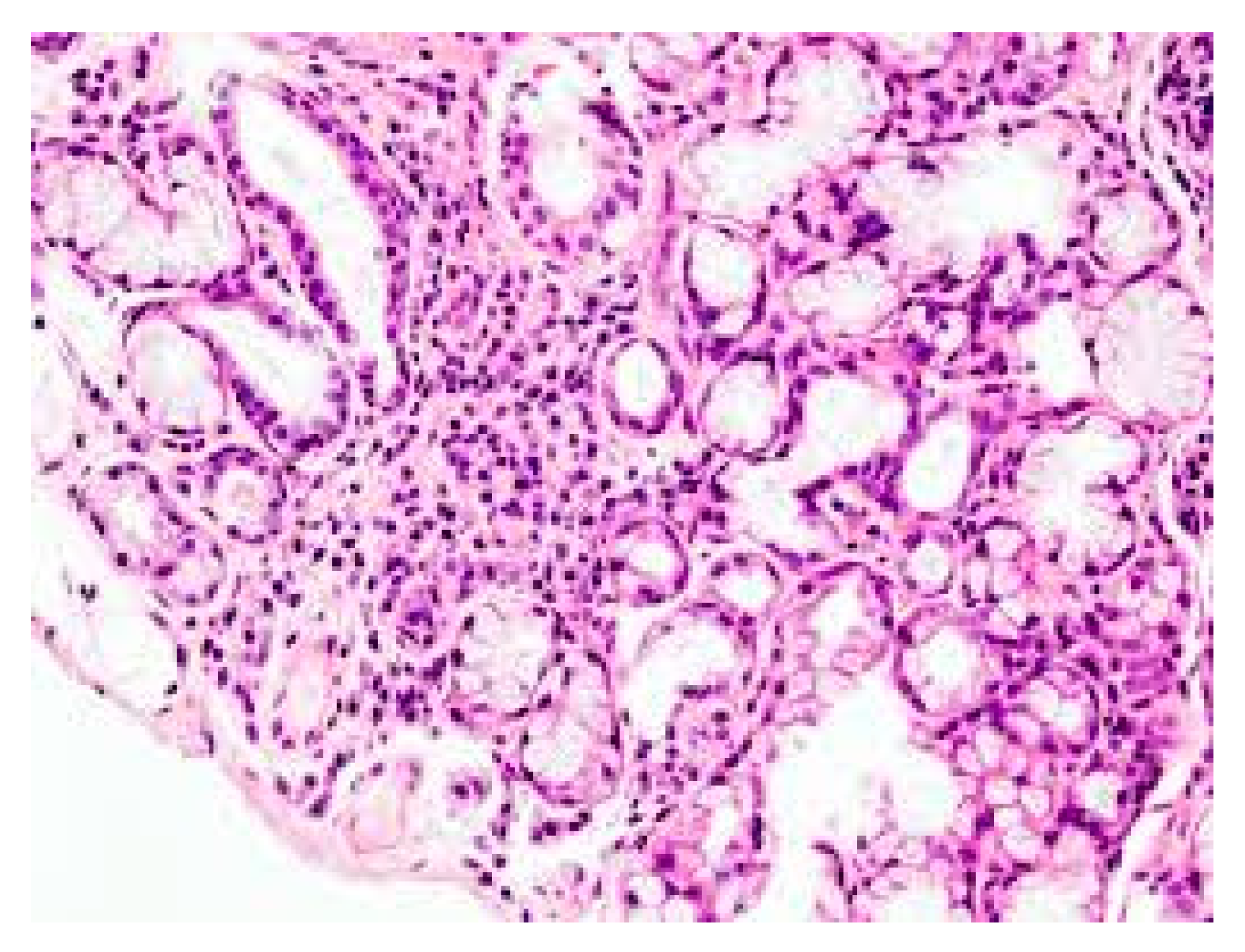 Ijms 21 04297 g001 Ijms 21 04297 g001