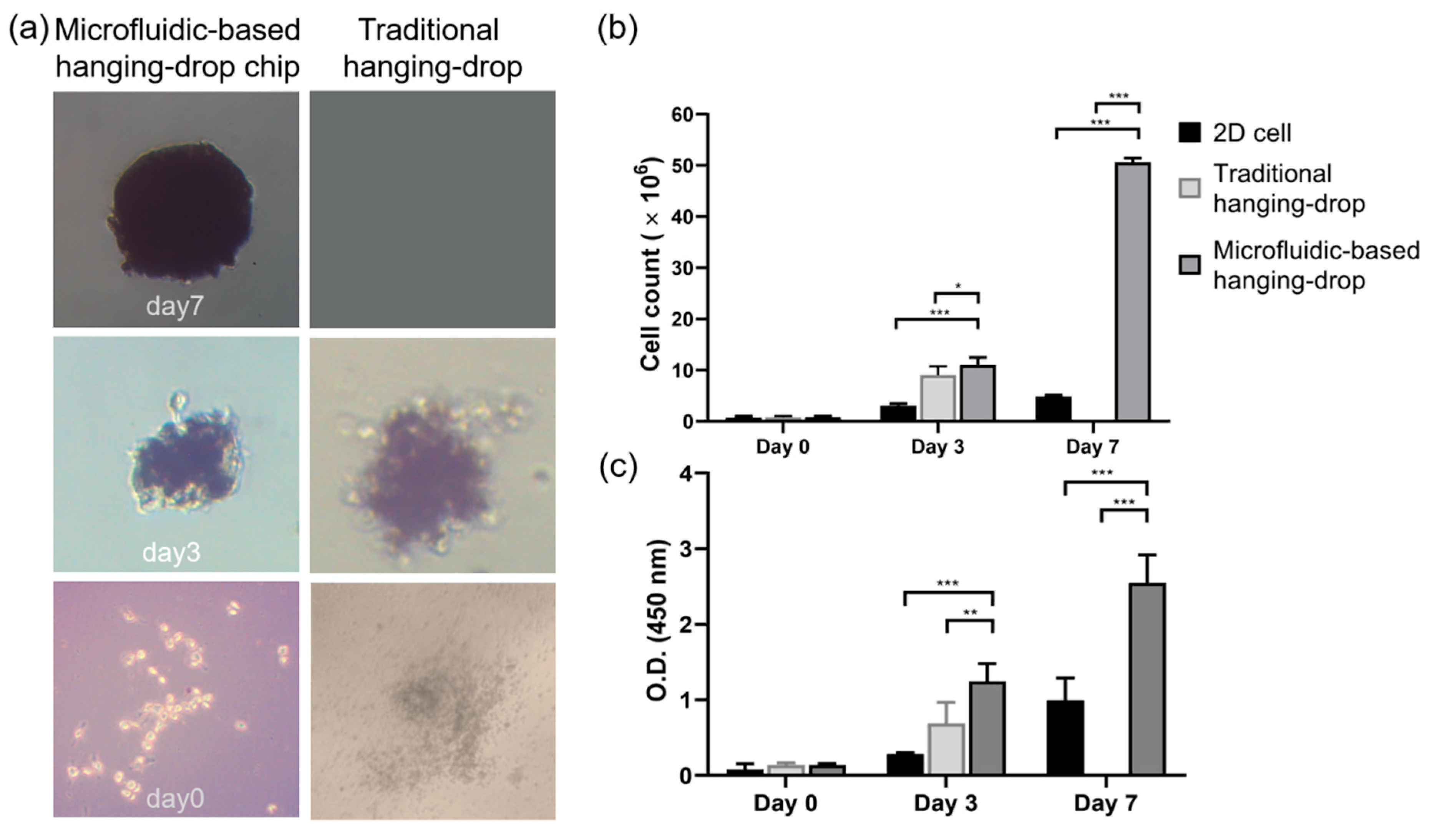 IJMS Free FullText A Dynamic HangingDrop System for Mesenchymal Stem Cell Culture