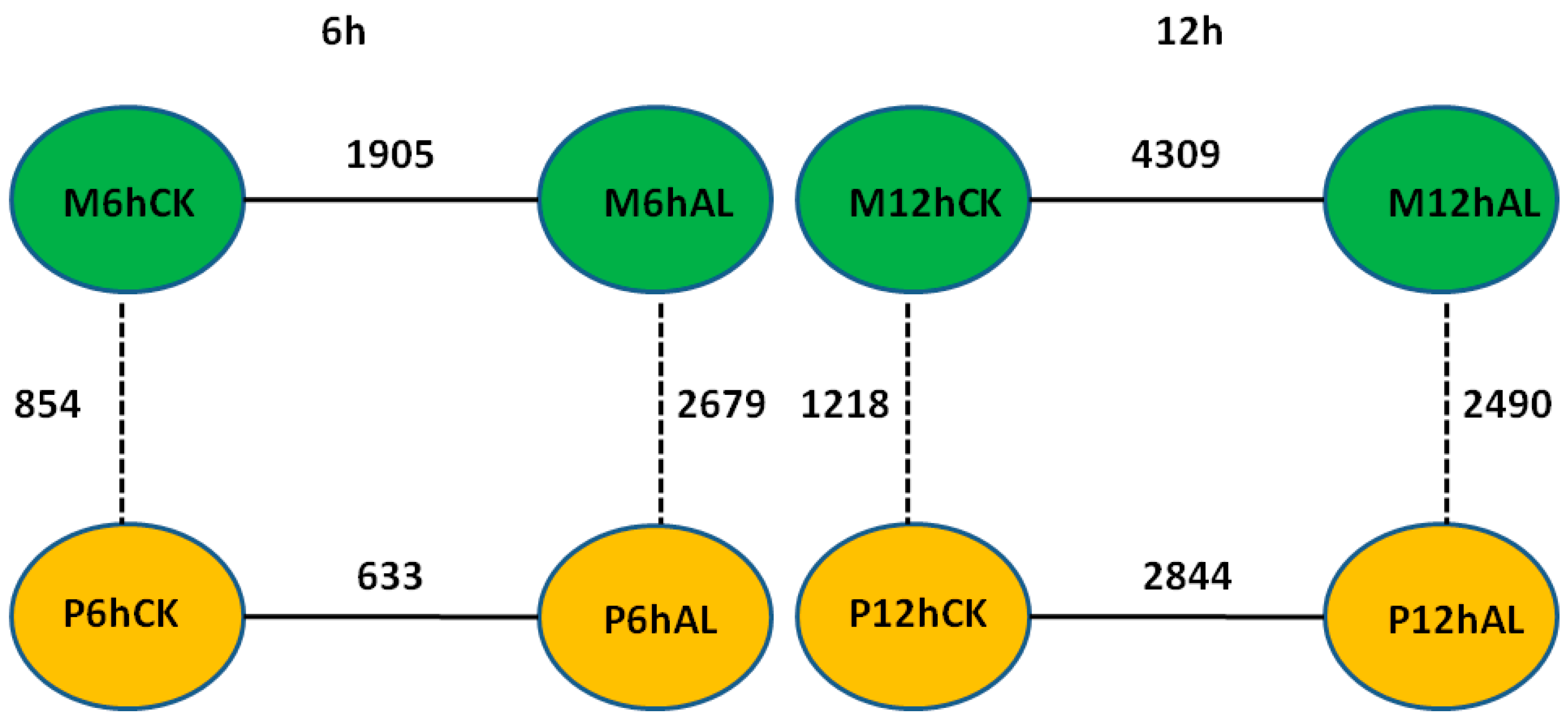 Ijms 21 04316 g002 Ijms 21 04316 g002