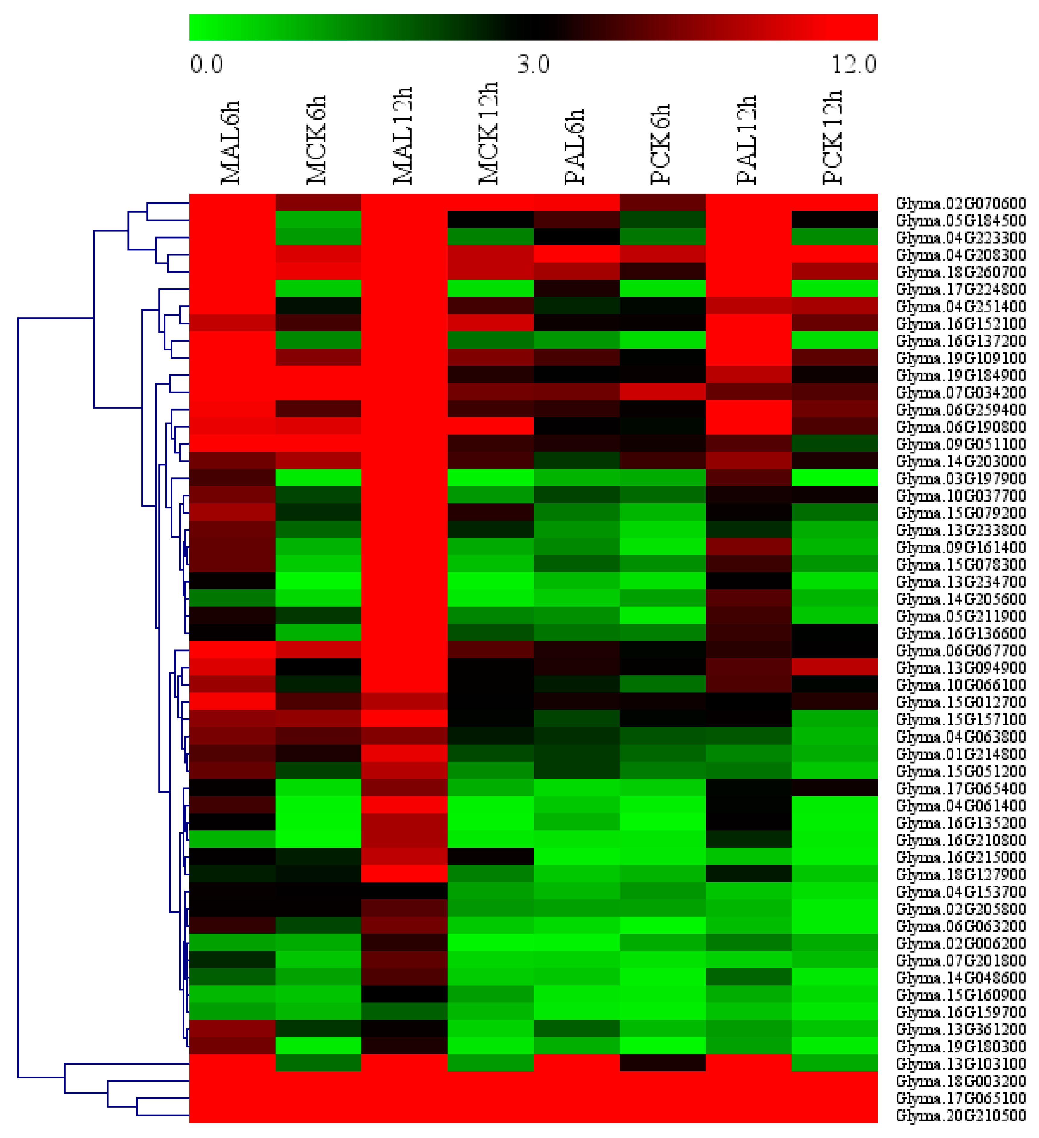 Ijms 21 04316 g005 Ijms 21 04316 g005