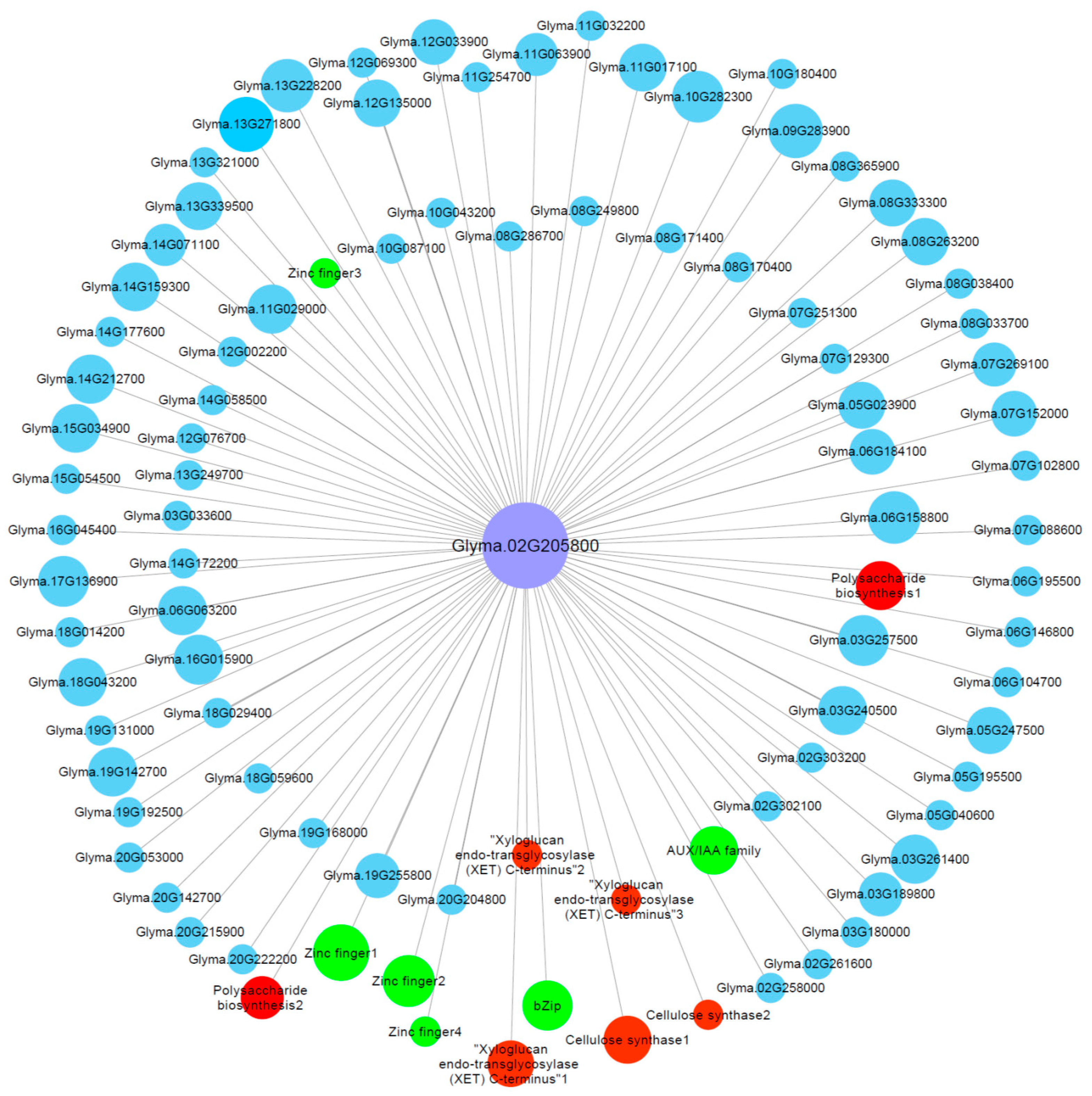 Ijms 21 04316 g006 Ijms 21 04316 g006