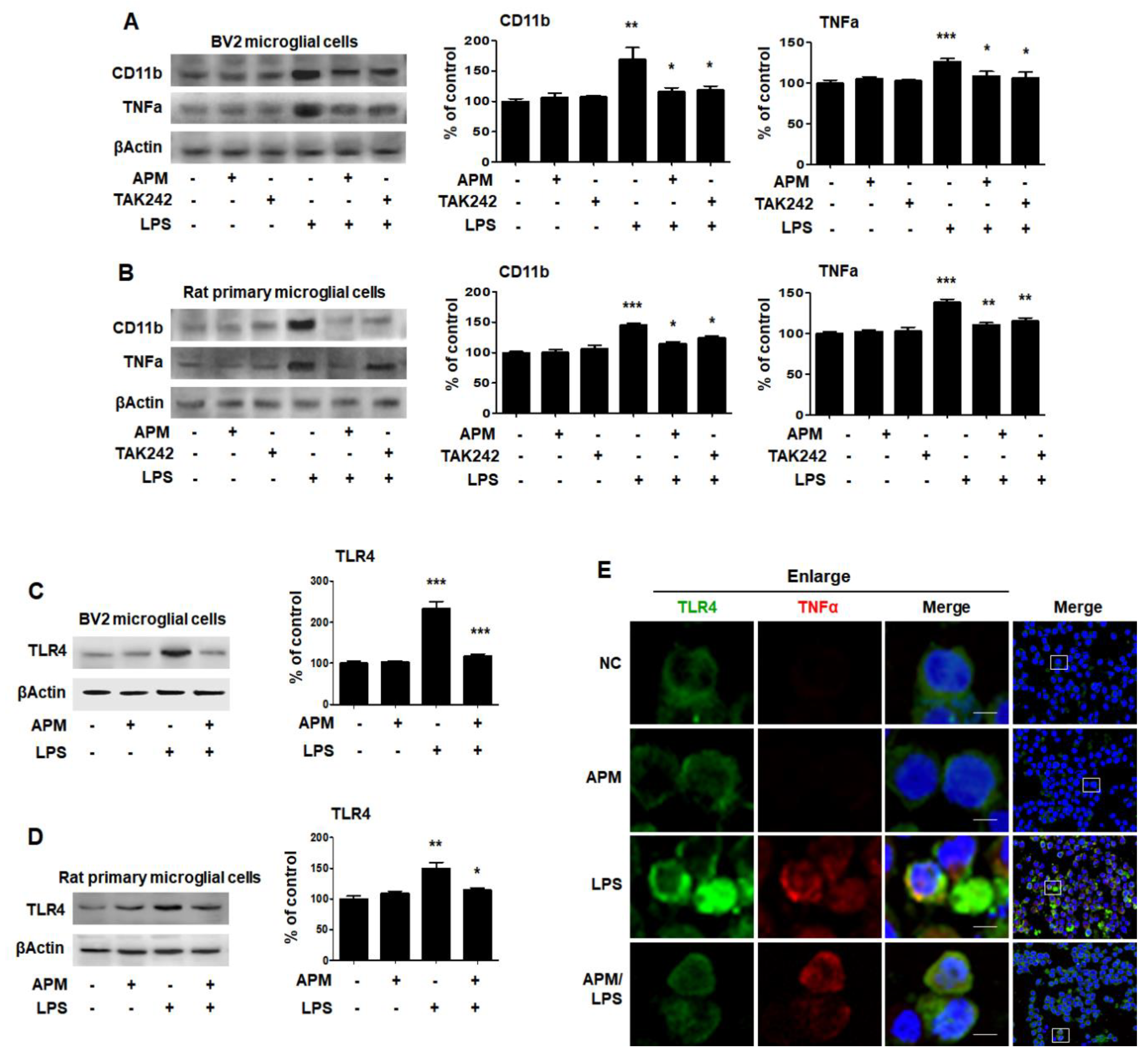 Ijms 21 04319 g003 Ijms 21 04319 g003