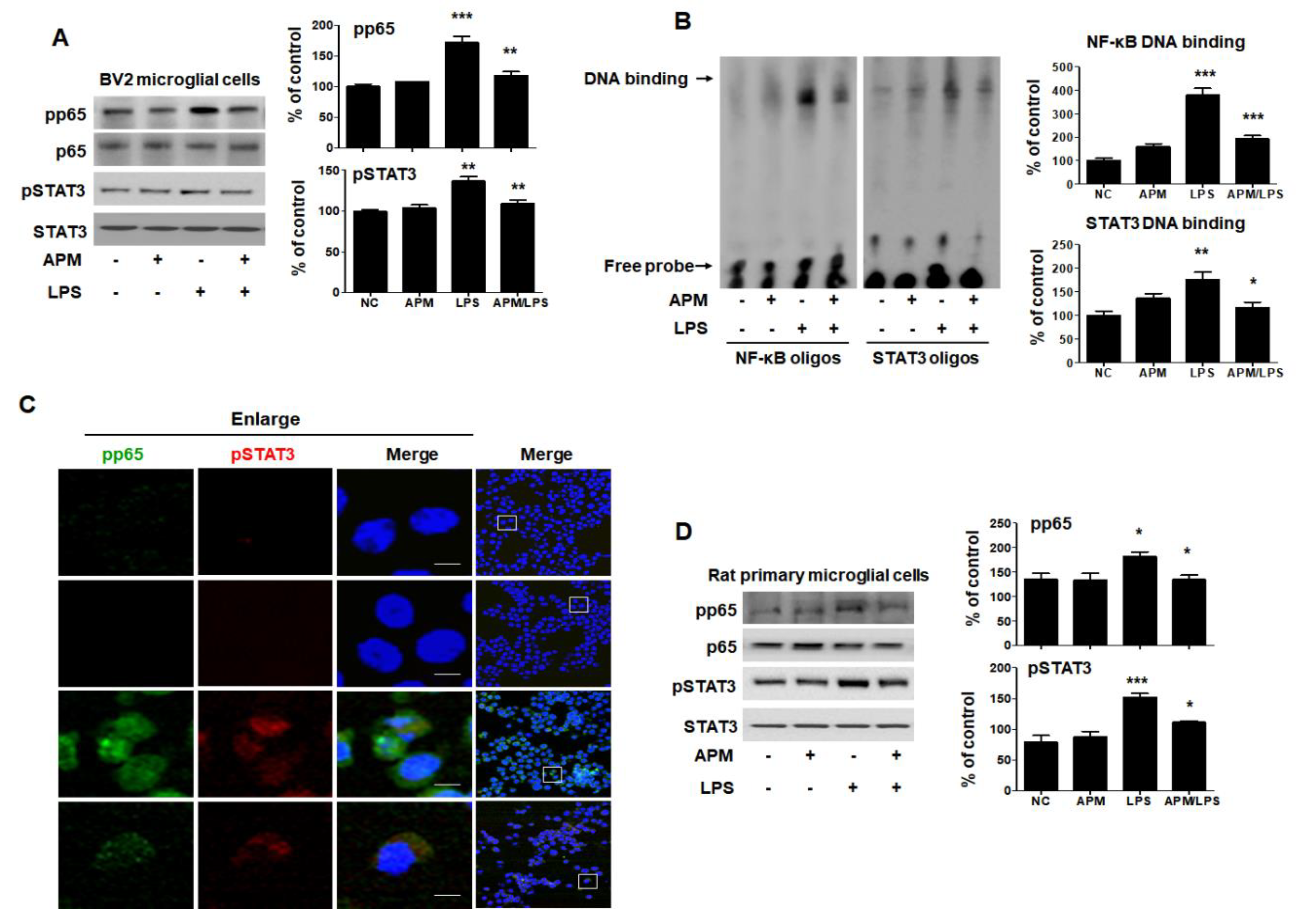 Ijms 21 04319 g004 Ijms 21 04319 g004