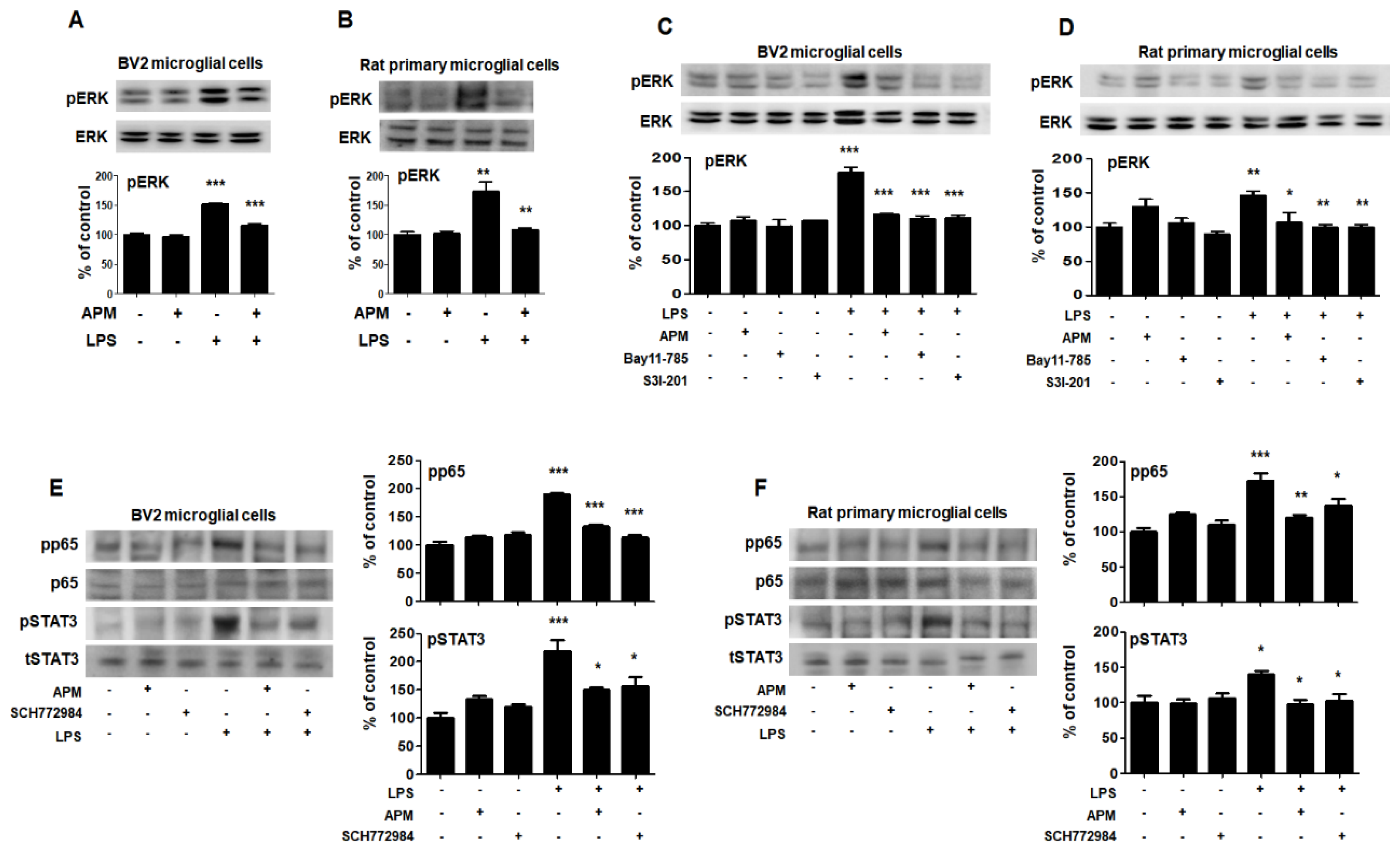 Ijms 21 04319 g005 Ijms 21 04319 g005