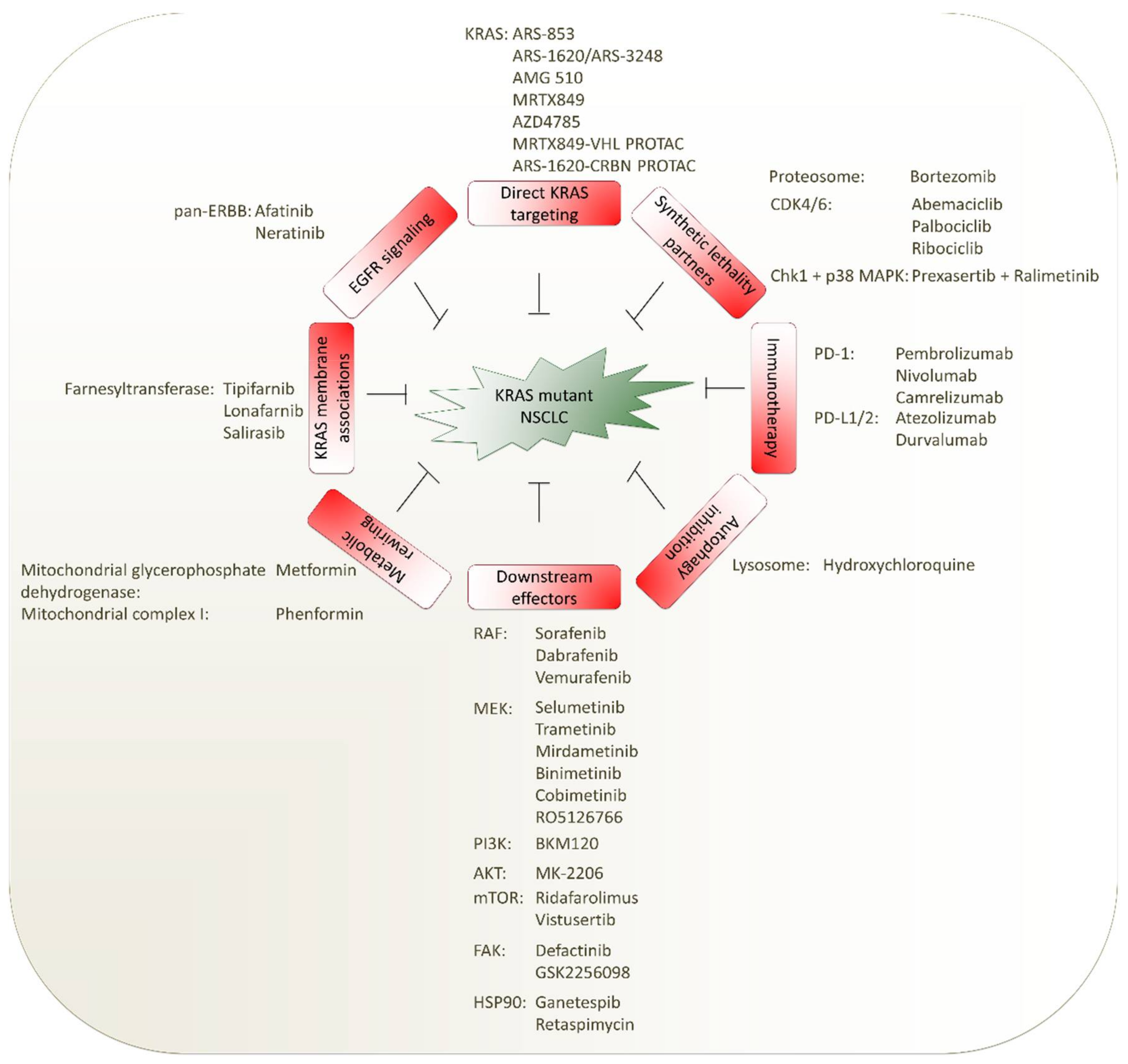 Ijms 21 04325 g003 Ijms 21 04325 g003
