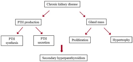secondary hyperparathyroidism