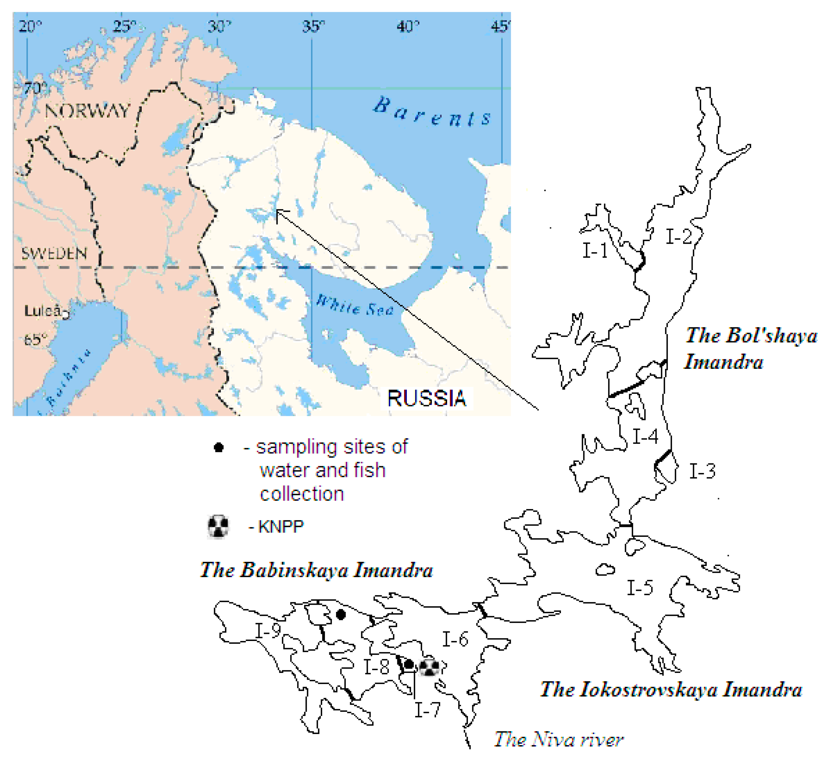 Ijms 21 04343 g002 Ijms 21 04343 g002