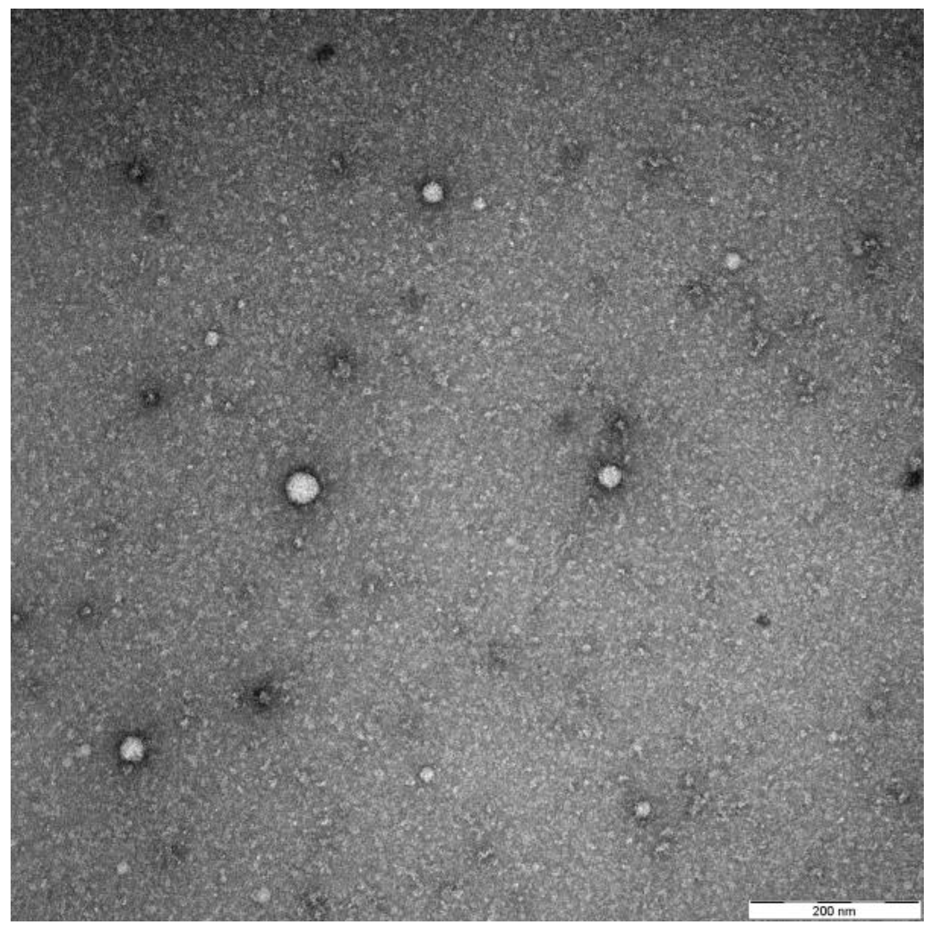 Ijms 21 04344 g001