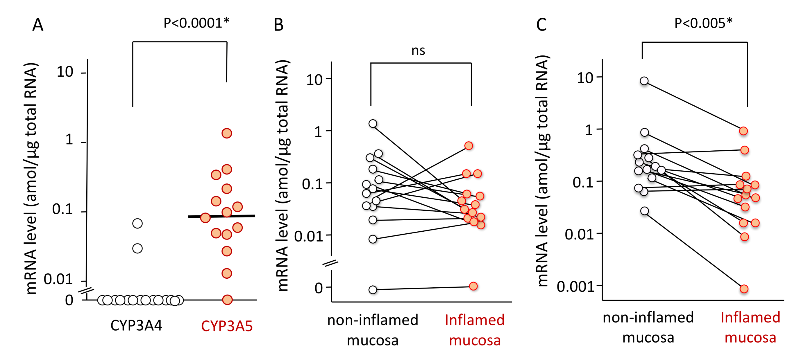 Ijms 21 04347 g001 Ijms 21 04347 g001