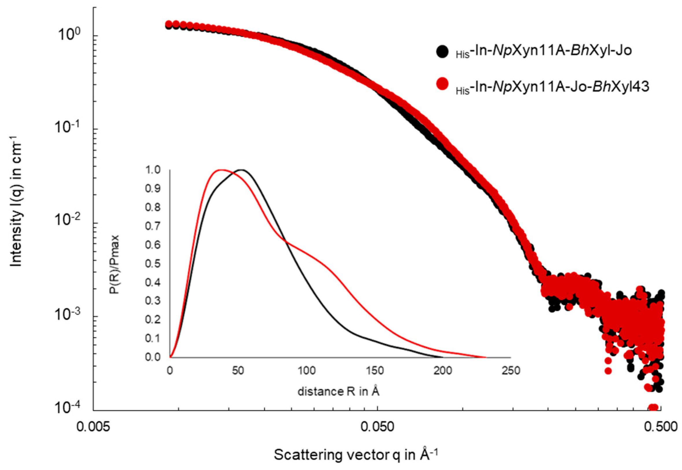 Ijms Free Full Text Characterisation Of The Effect Of The Spatial Organisation Of Hemicellulases On The Hydrolysis Of Plant Biomass Polymer Html