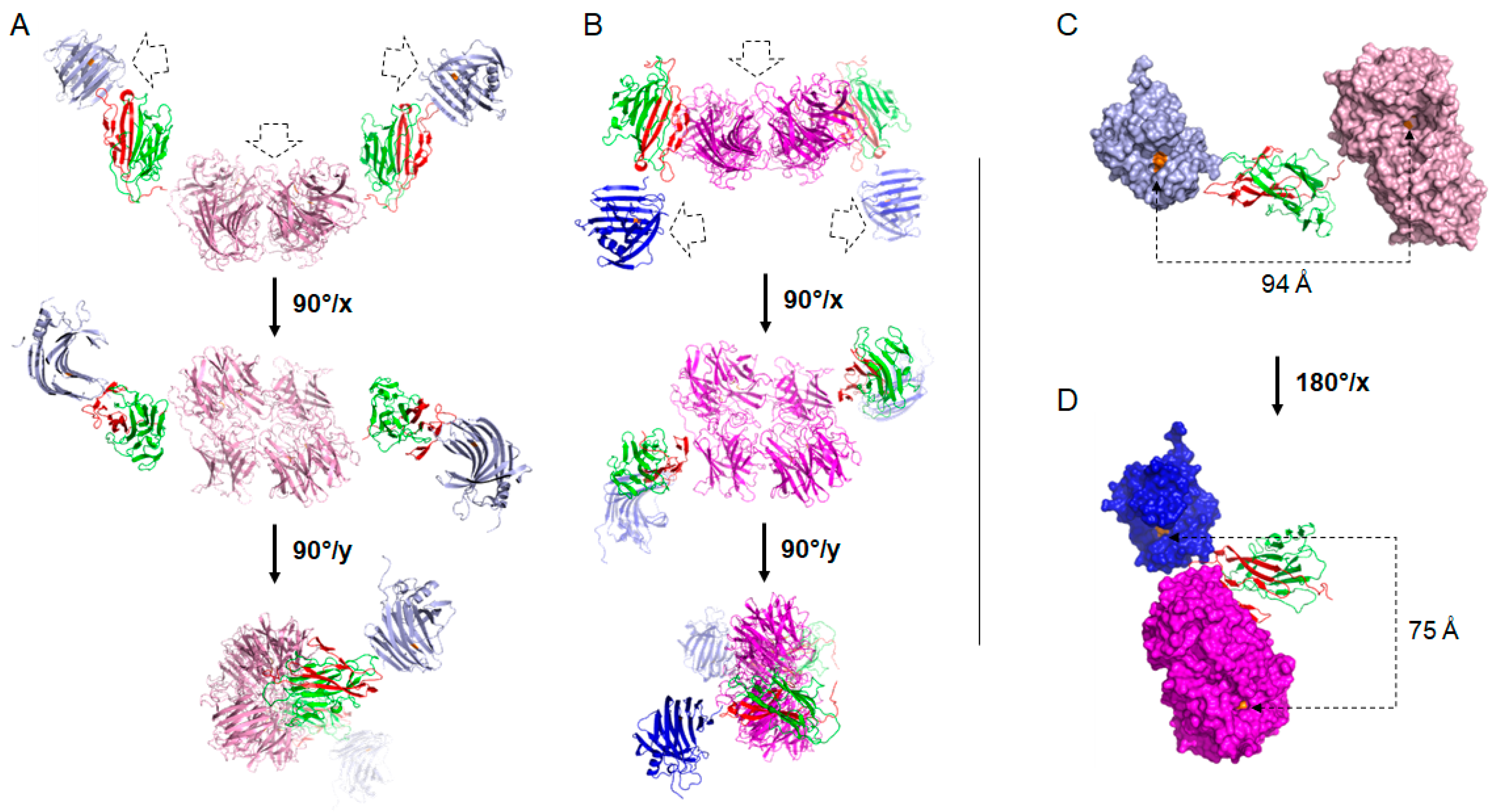 Ijms 21 04360 g004 Ijms 21 04360 g004