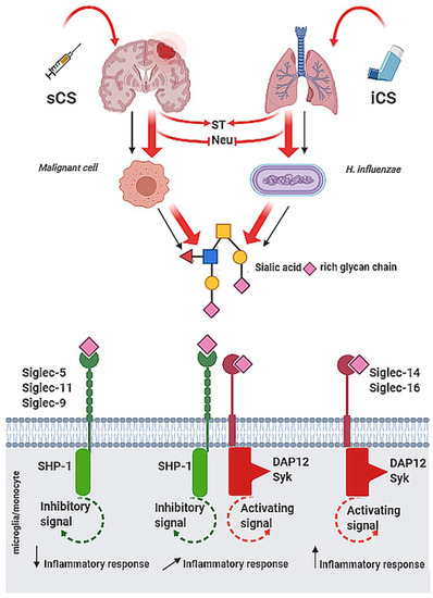 【Beck and call】Dot vector Tee FDA‐approved drugs featuring macrocycles or medium‐sized