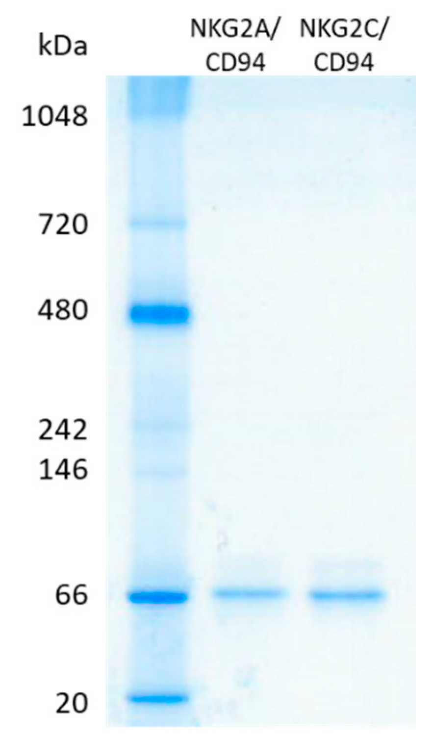 Ijms 21 04362 g0a6 Ijms 21 04362 g0a6