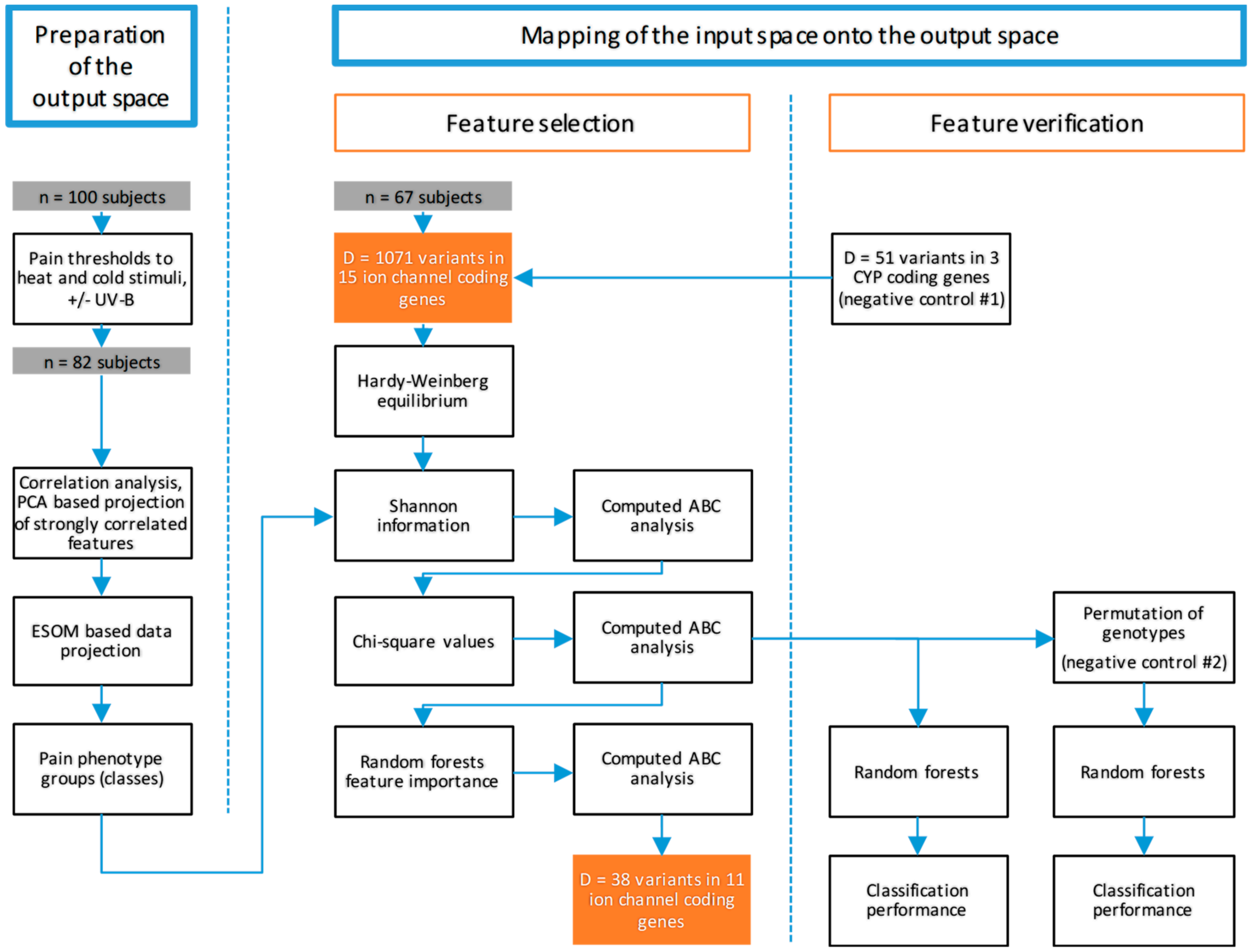 Ijms 21 04367 g007 Ijms 21 04367 g007