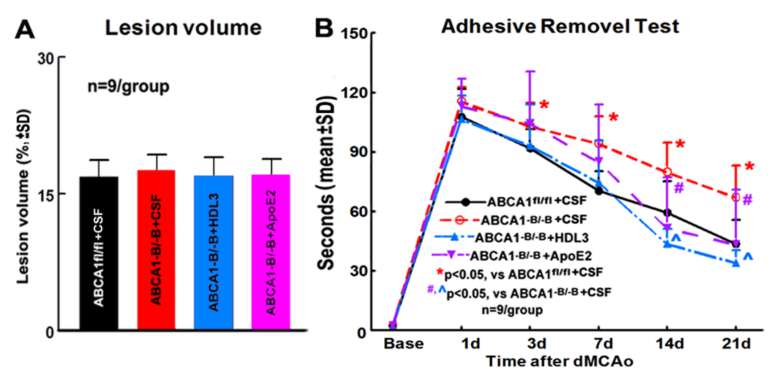 Ijms 21 04369 g002 Ijms 21 04369 g002