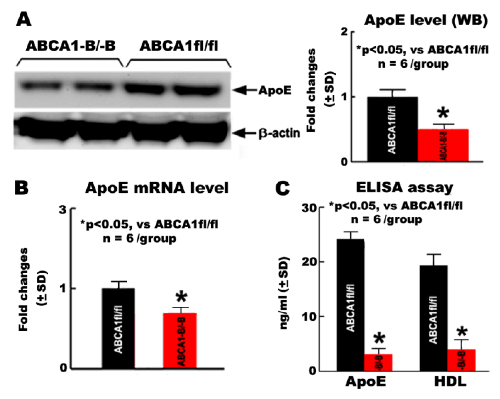 Ijms 21 04369 g005 Ijms 21 04369 g005