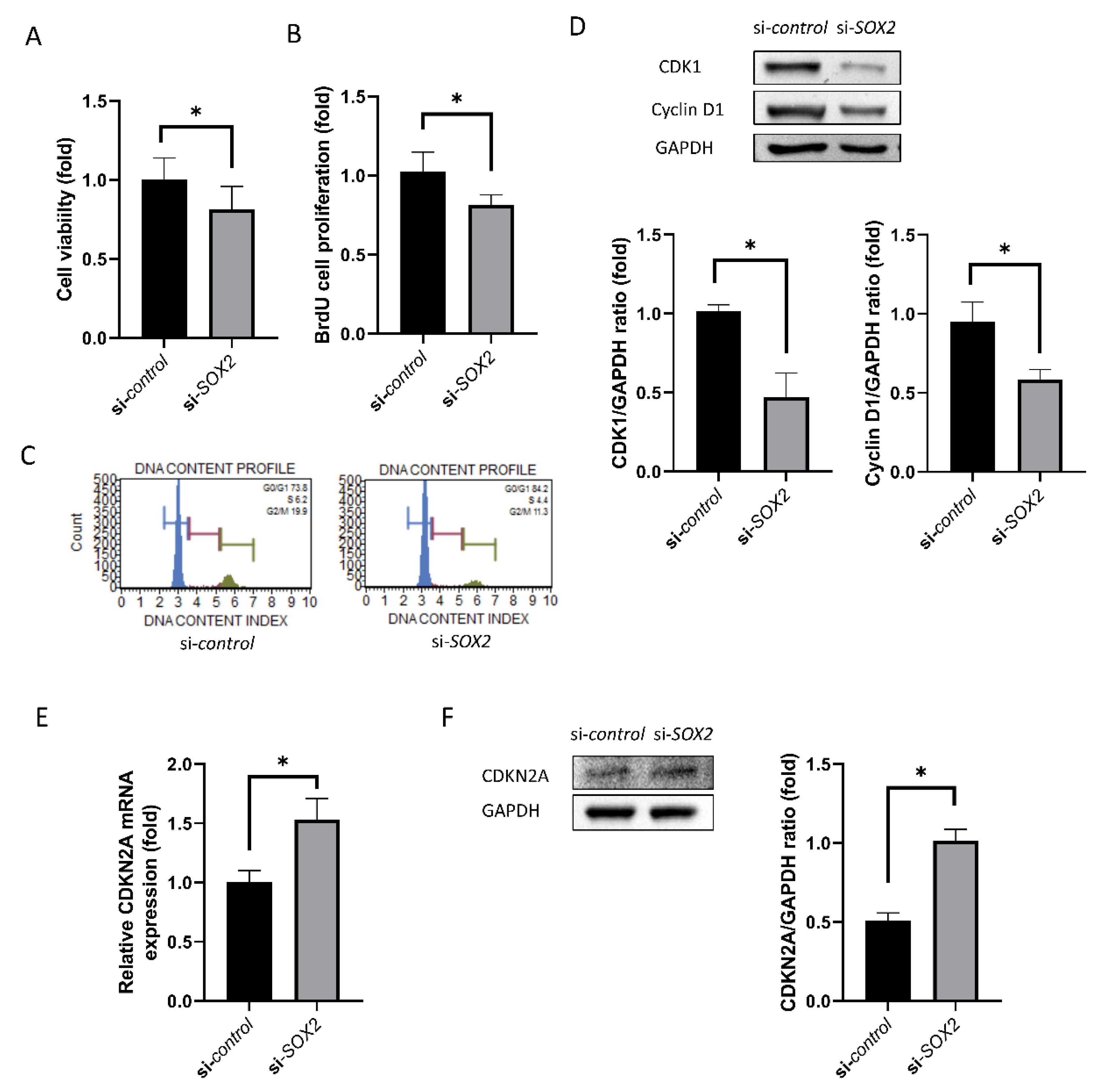Ijms 21 04397 g003 Ijms 21 04397 g003