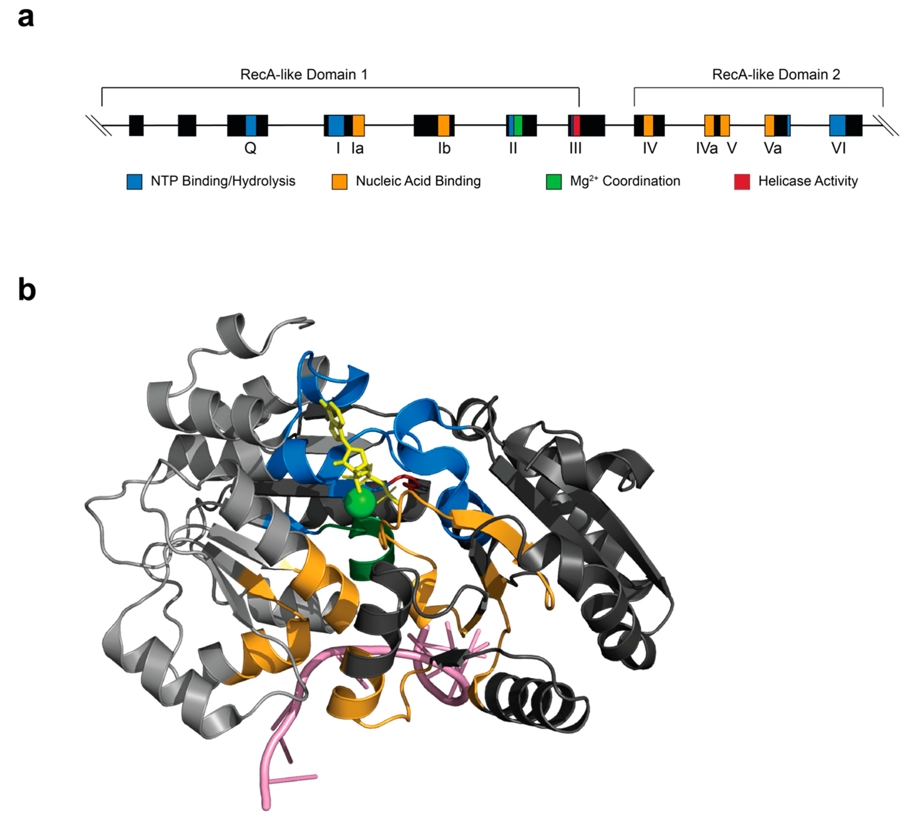 Ijms 21 04402 g002 Ijms 21 04402 g002