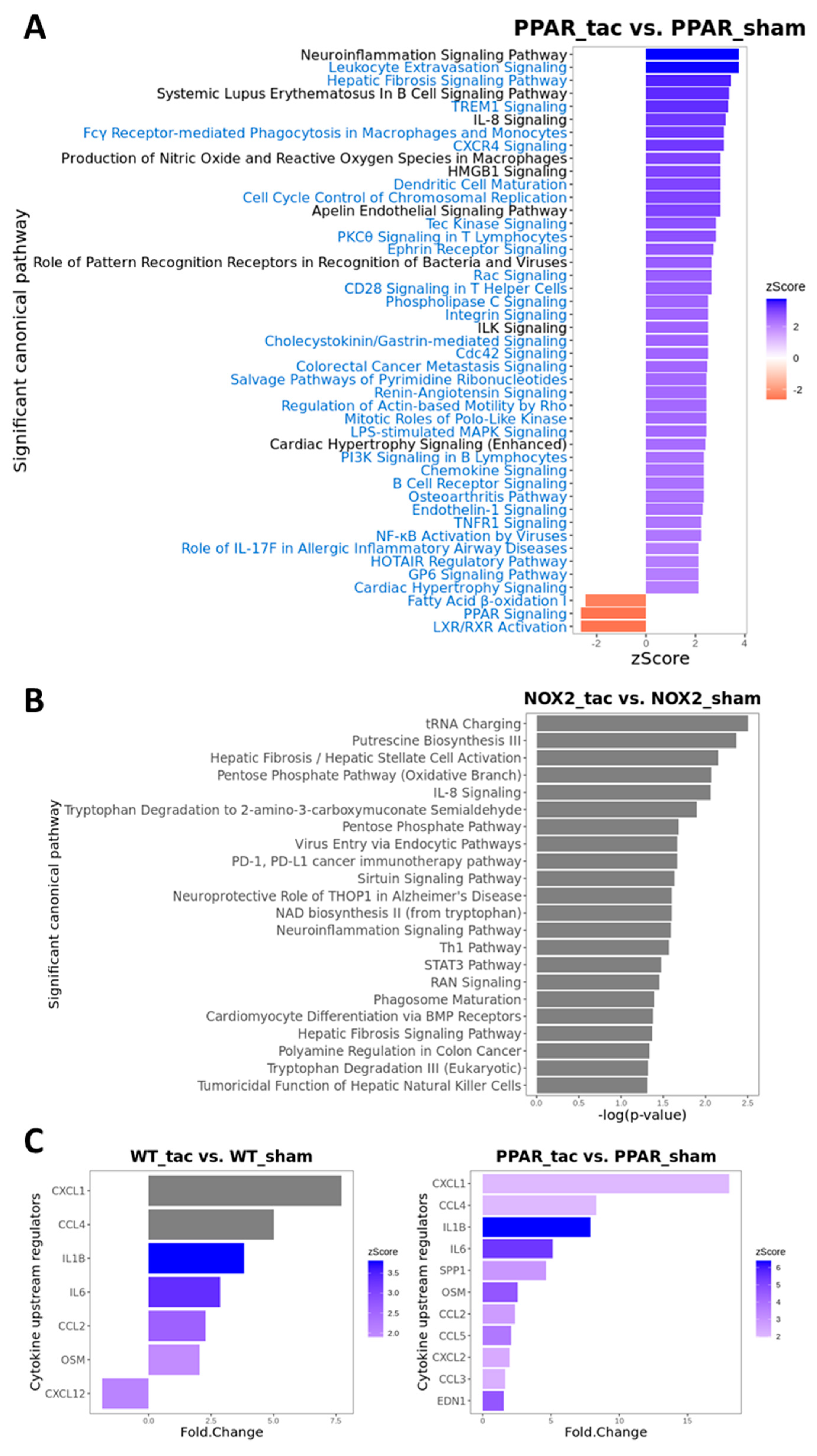 Ijms 21 04406 g008 Ijms 21 04406 g008