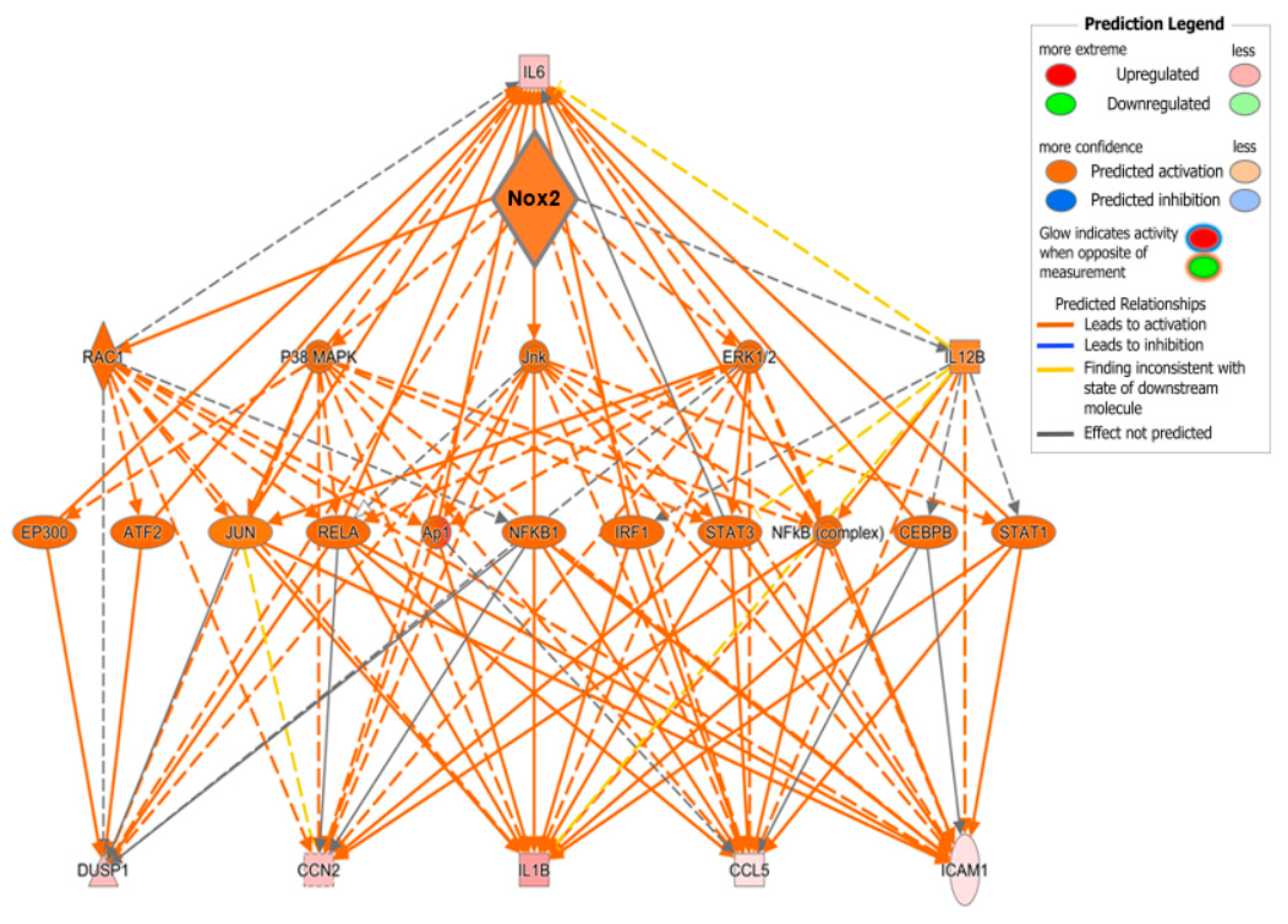 Ijms 21 04406 g009 Ijms 21 04406 g009