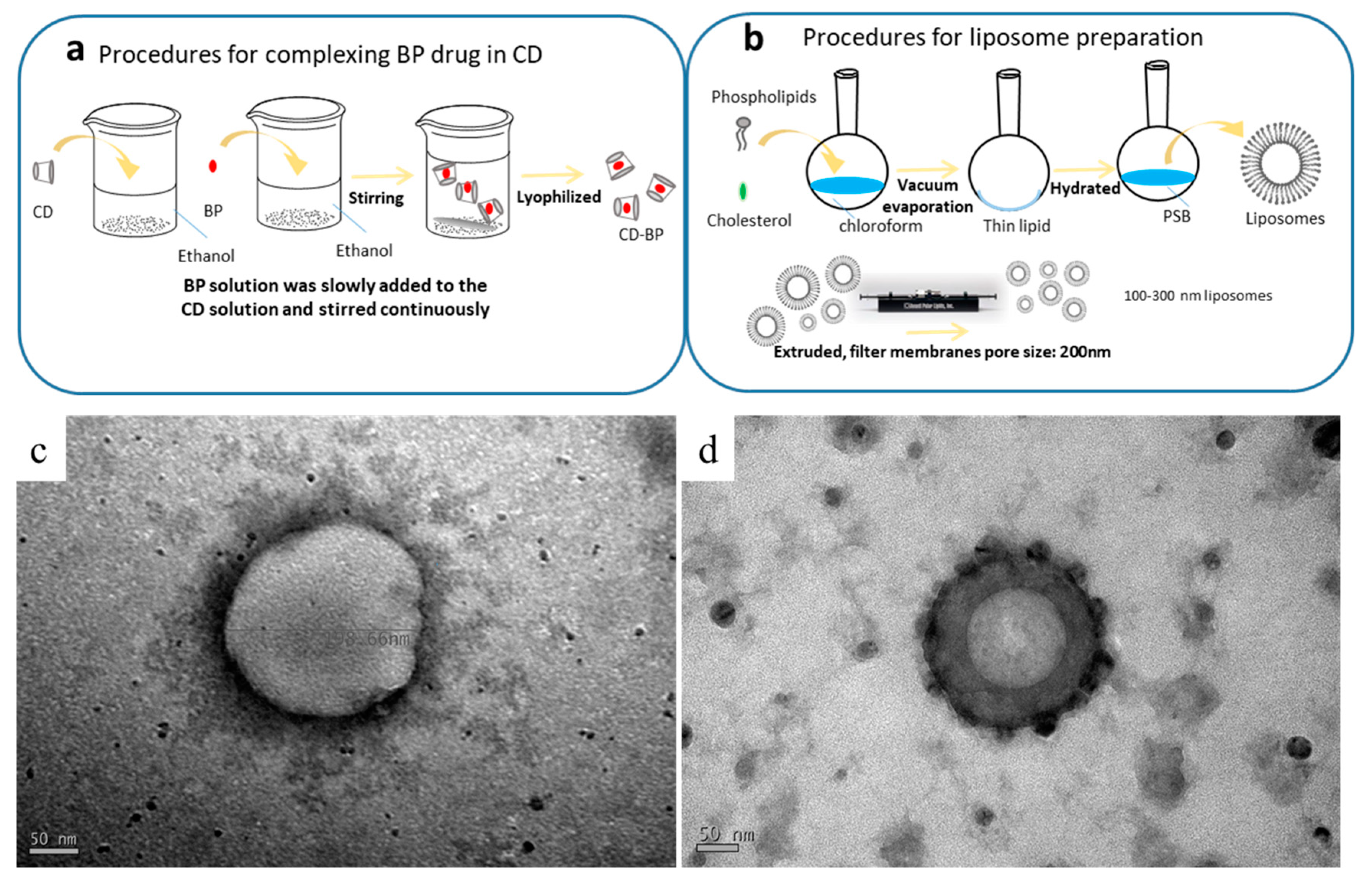 Ijms 21 04408 g001 Ijms 21 04408 g001