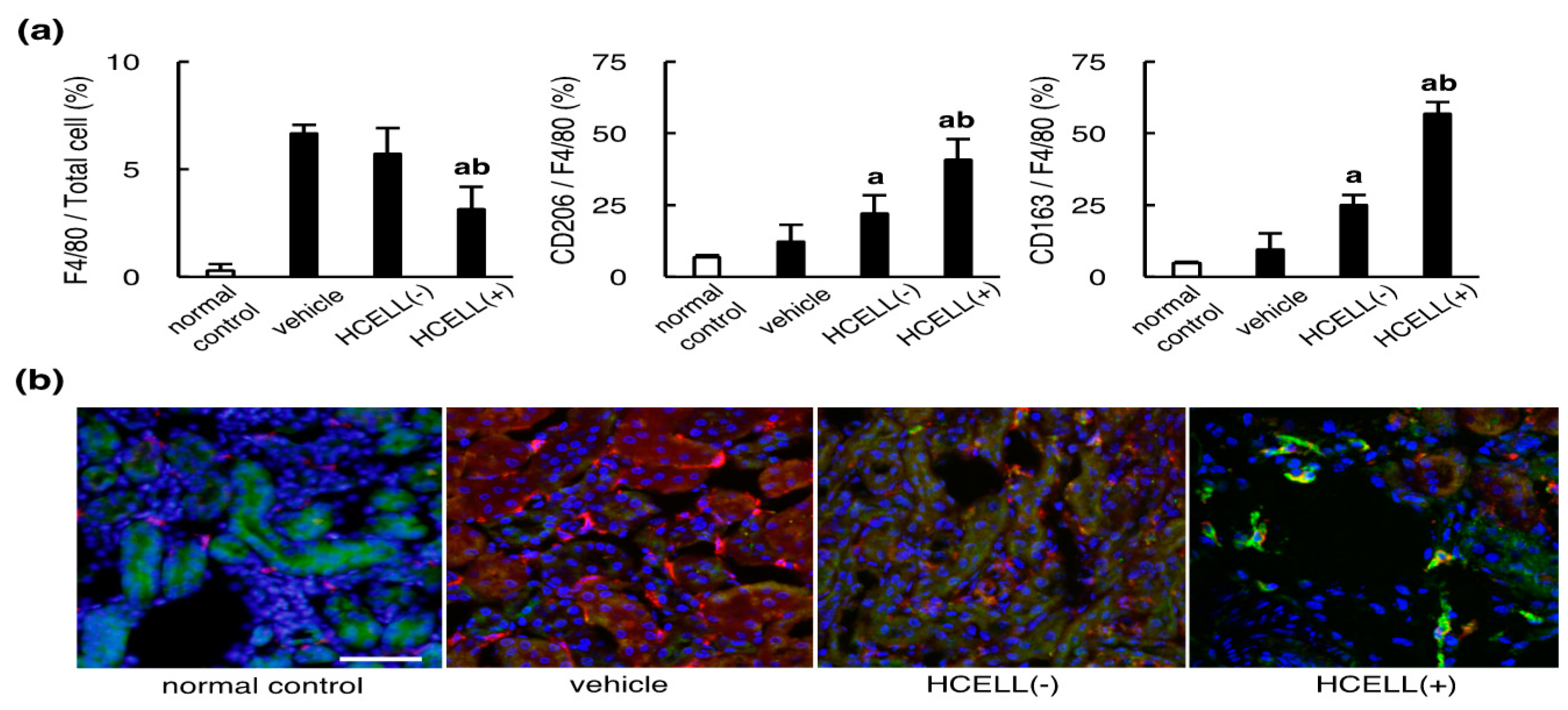 Ijms 21 04409 g001 Ijms 21 04409 g001