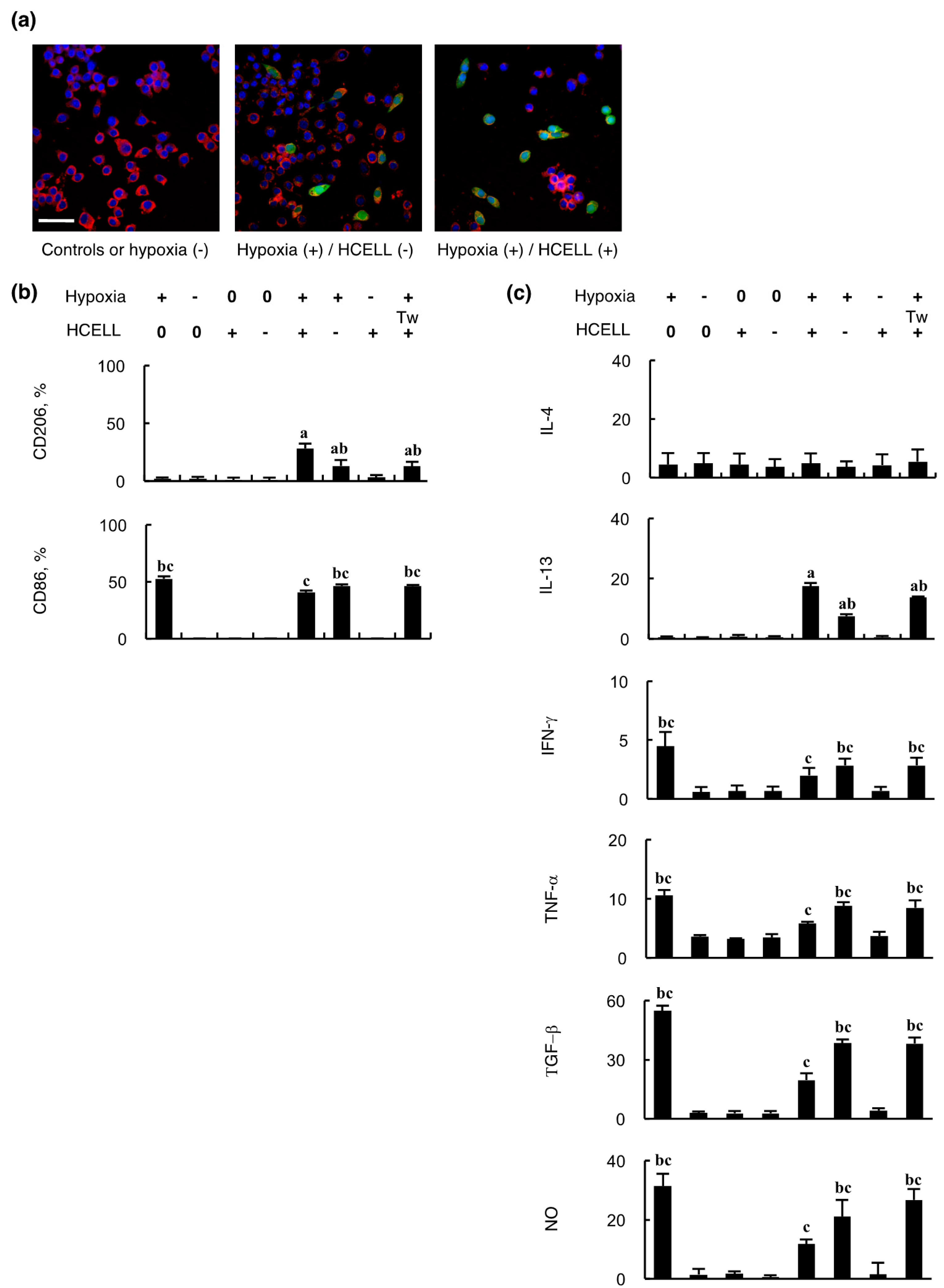Ijms 21 04409 g002 Ijms 21 04409 g002