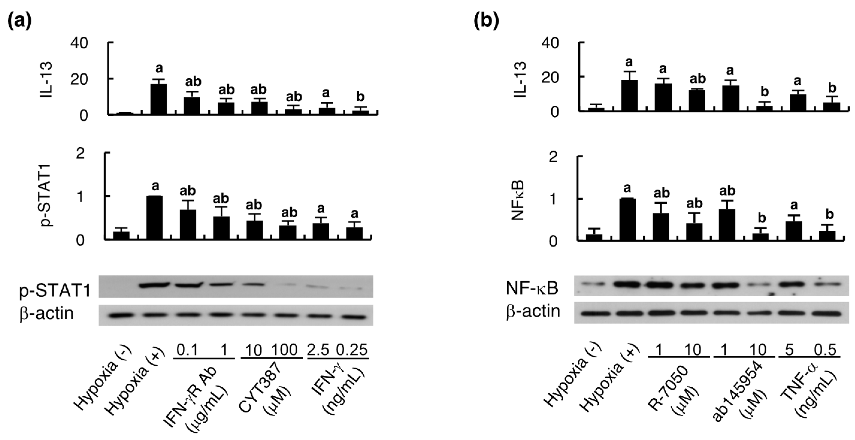 Ijms 21 04409 g005 Ijms 21 04409 g005