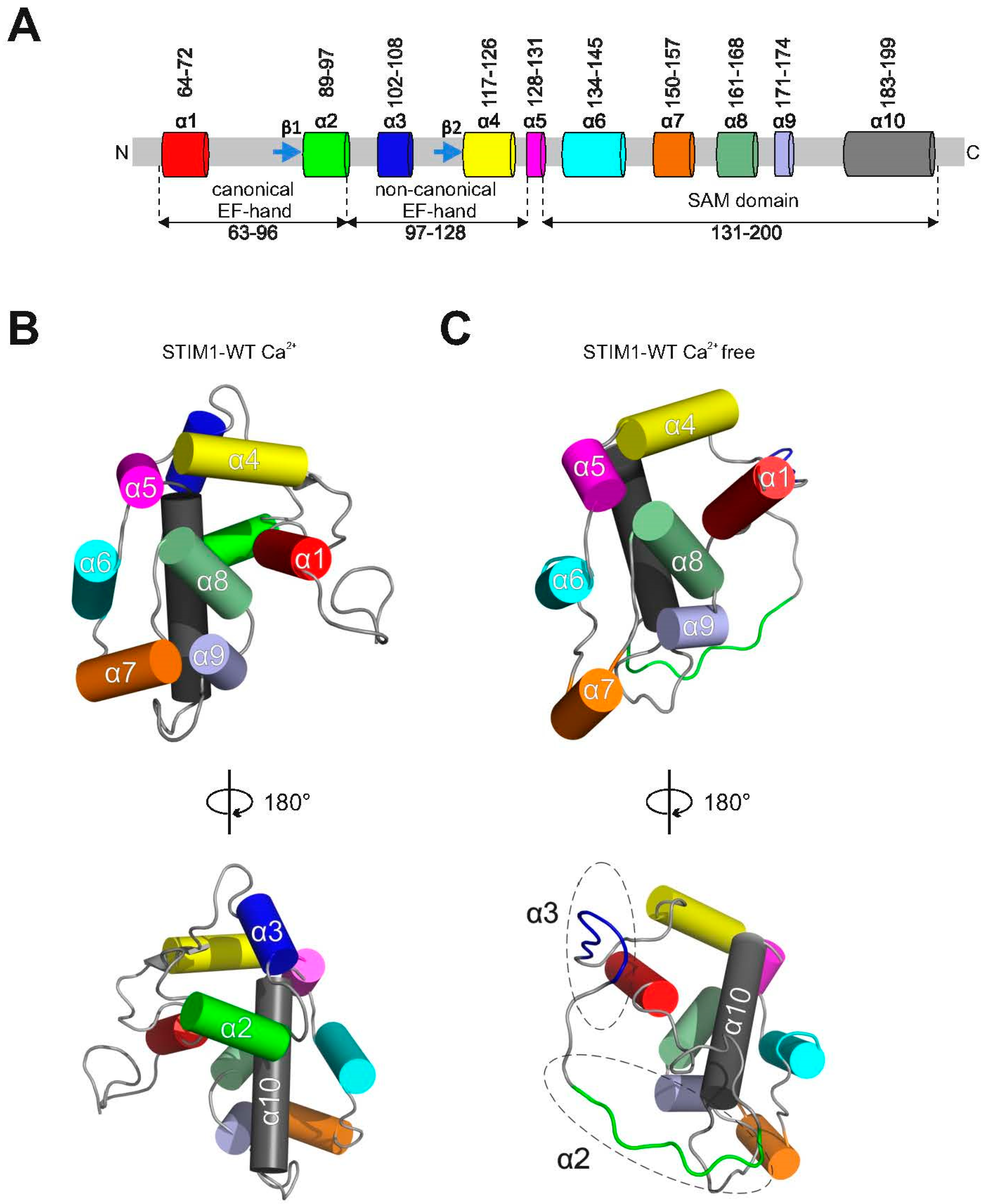 Ijms 21 04410 g001 Ijms 21 04410 g001