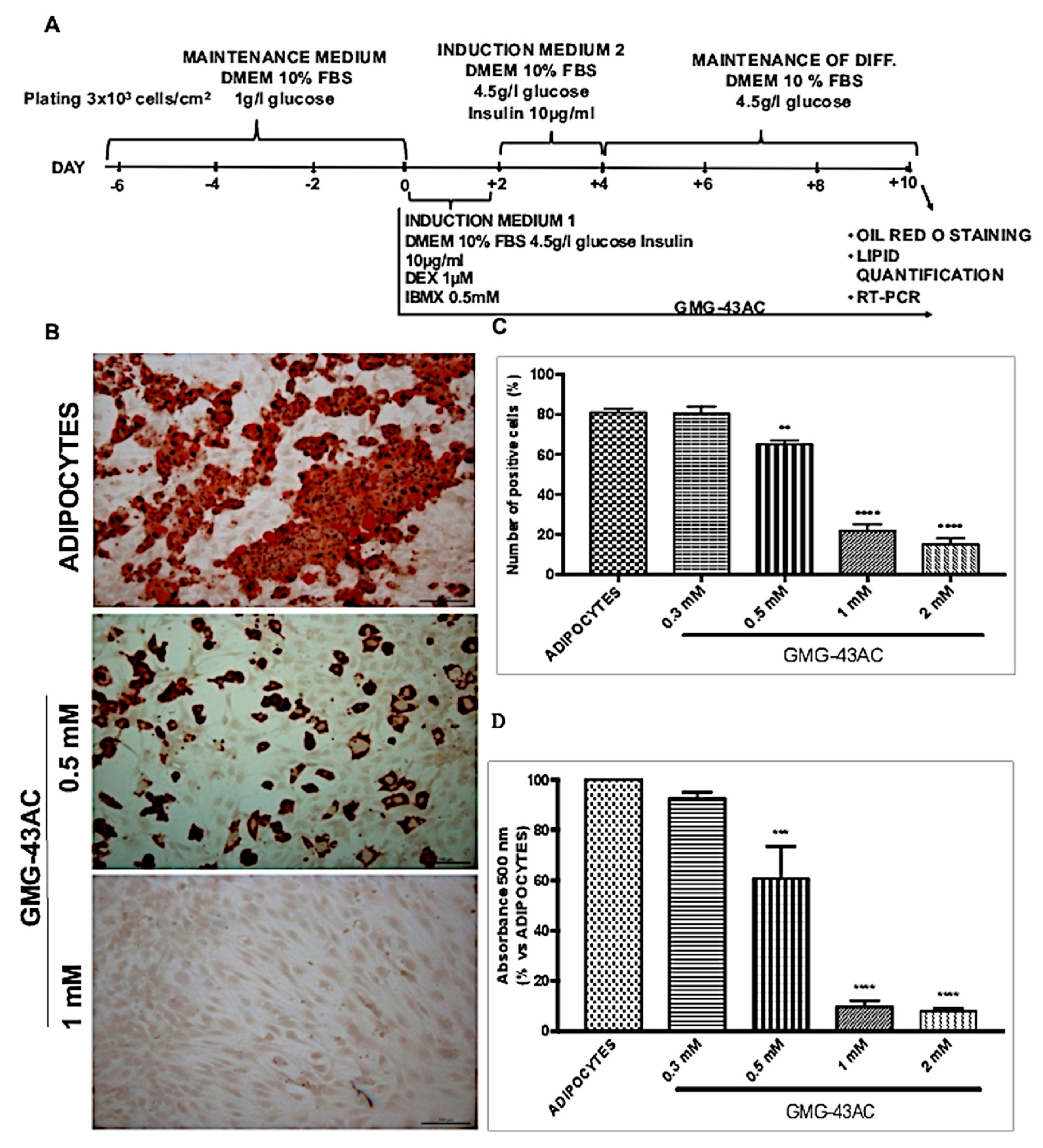 Ijms 21 04415 g001 Ijms 21 04415 g001