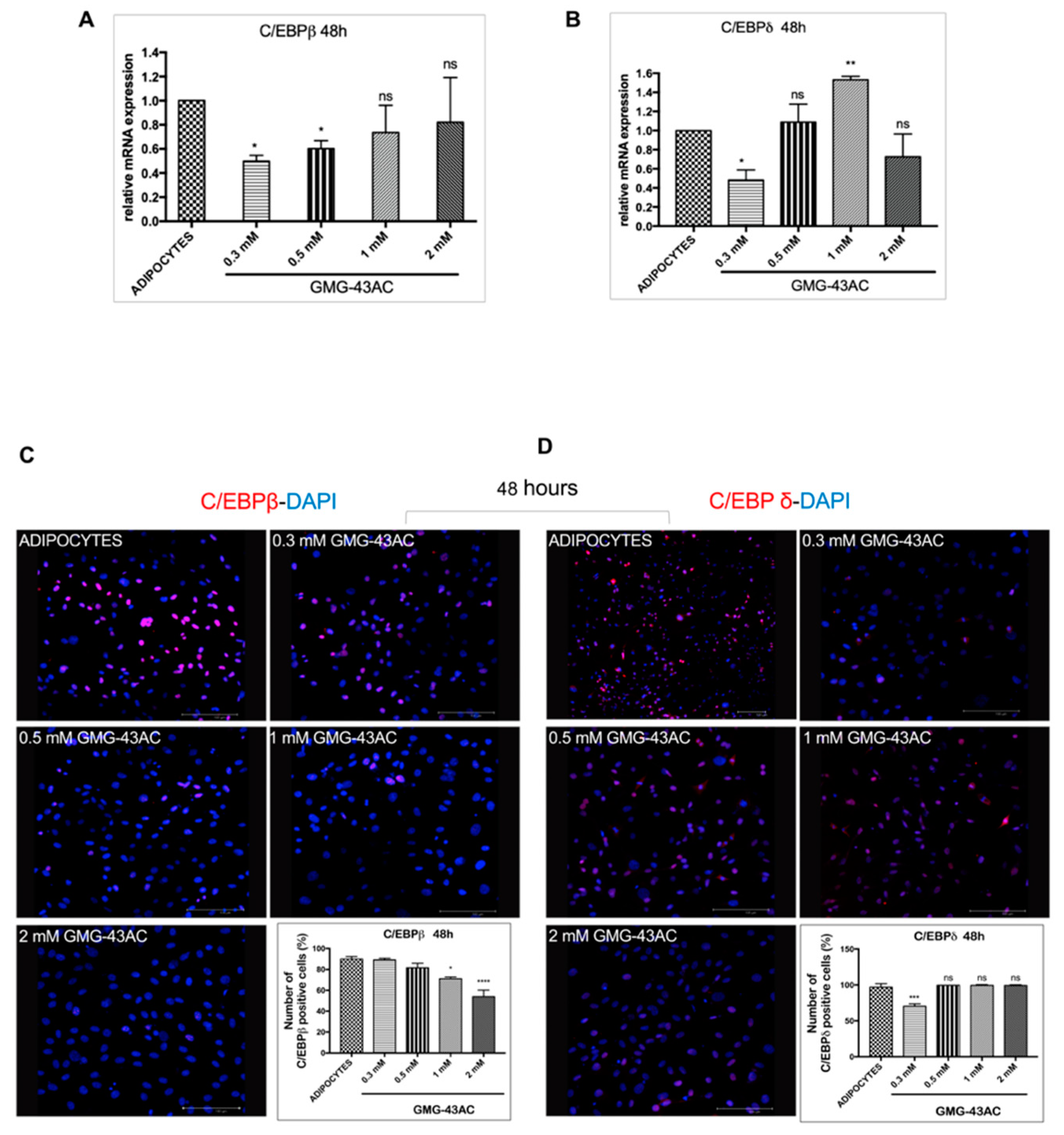 Ijms 21 04415 g003 Ijms 21 04415 g003