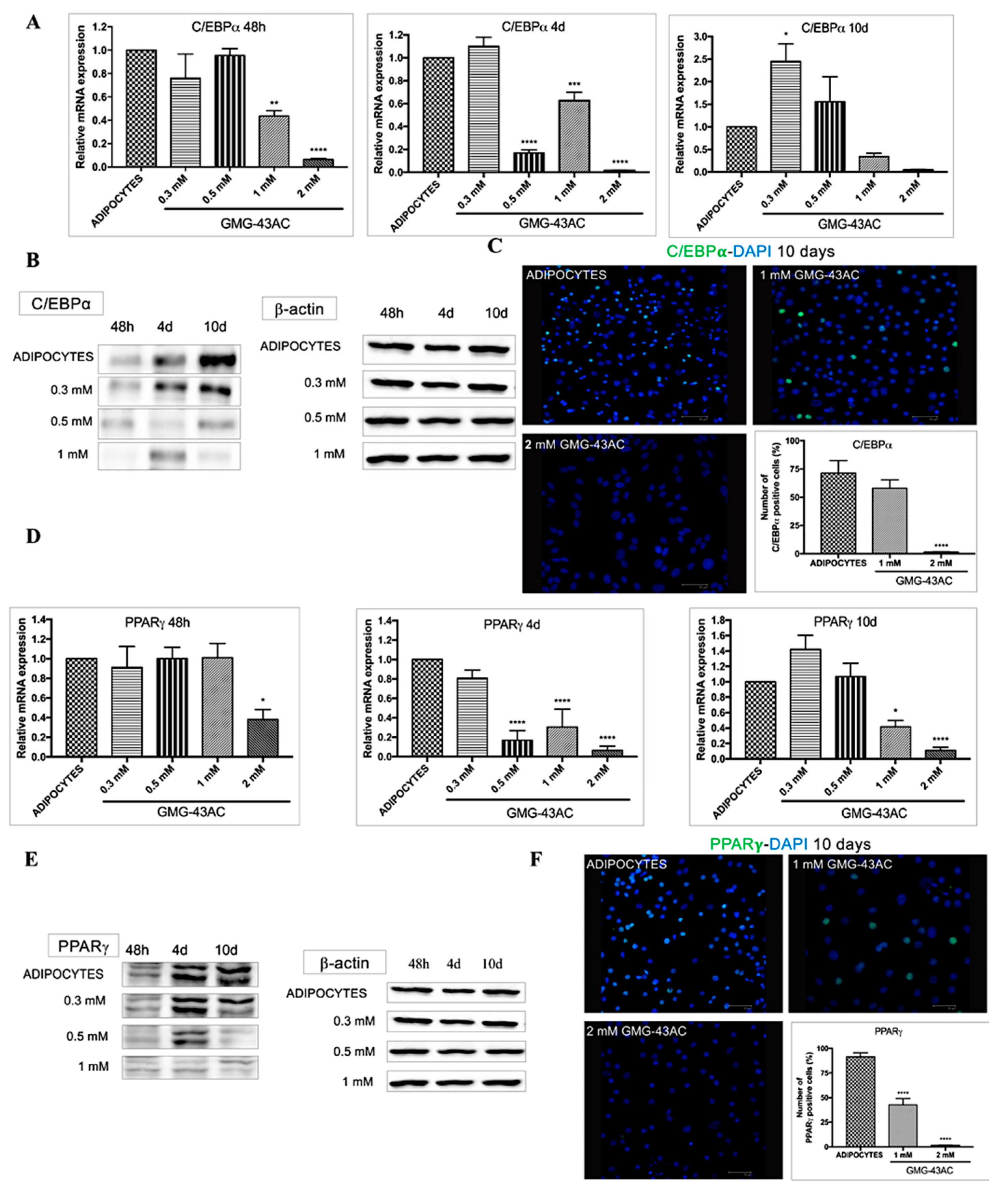 Ijms 21 04415 g004 Ijms 21 04415 g004