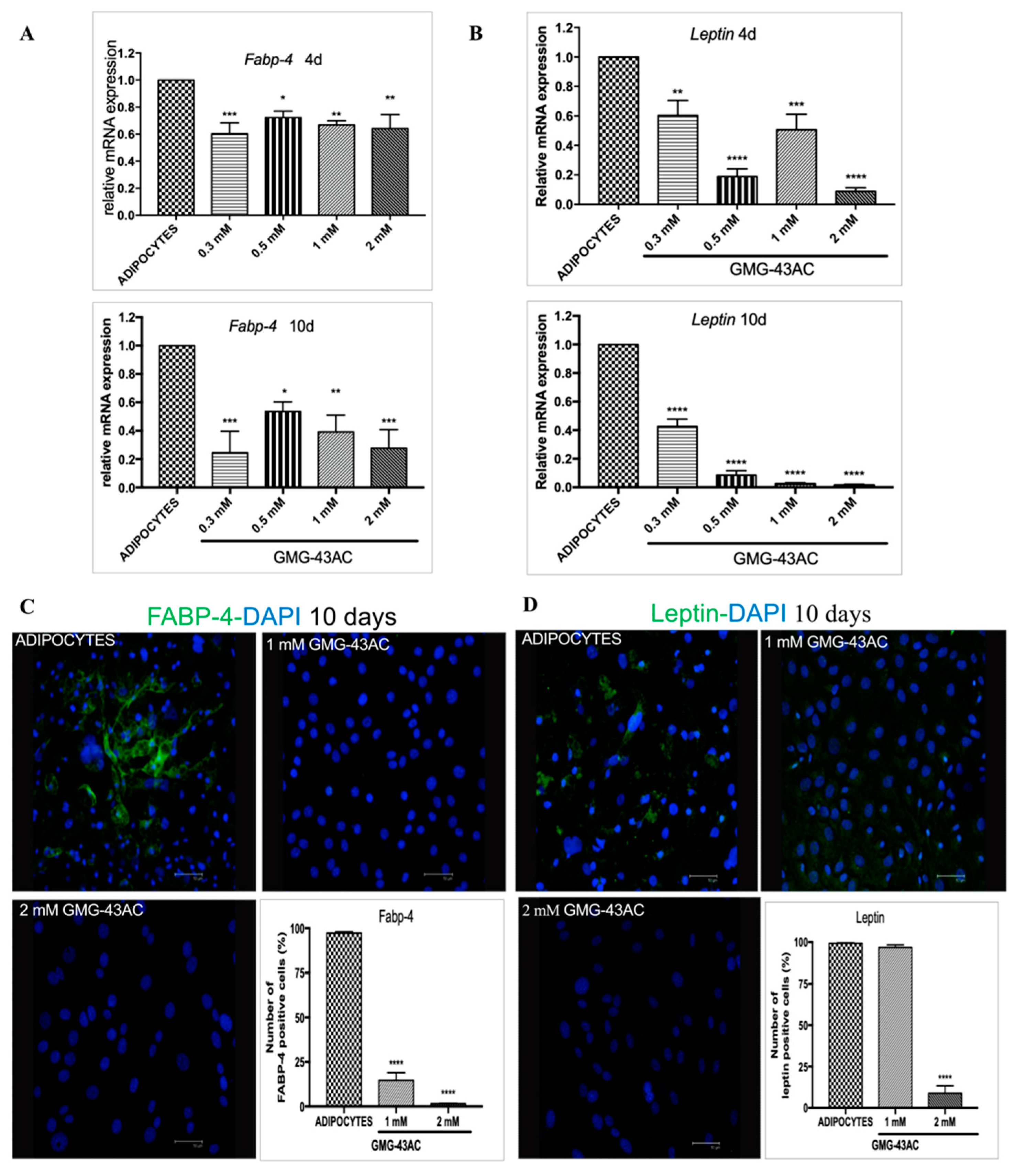 Ijms 21 04415 g005 Ijms 21 04415 g005
