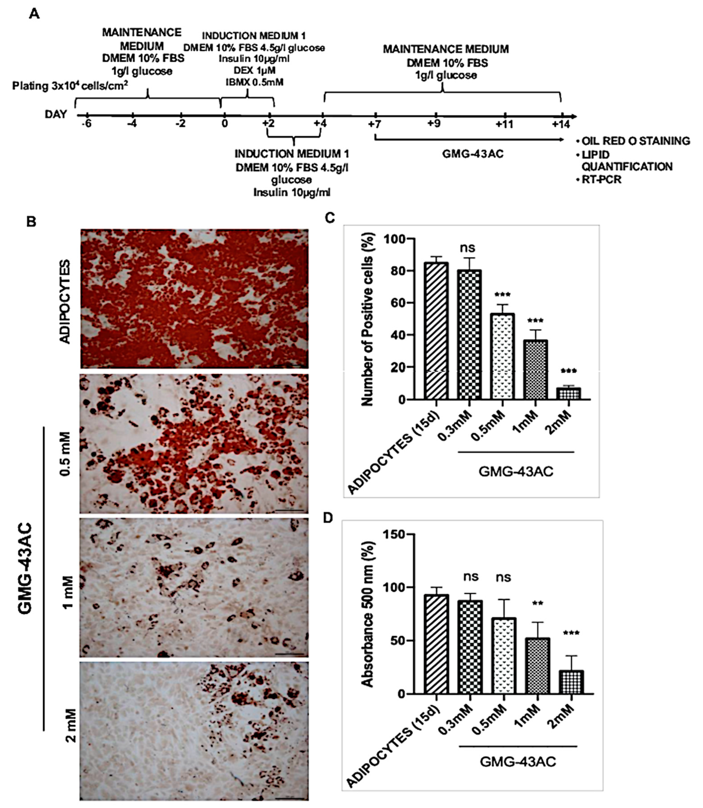 Ijms 21 04415 g007 Ijms 21 04415 g007