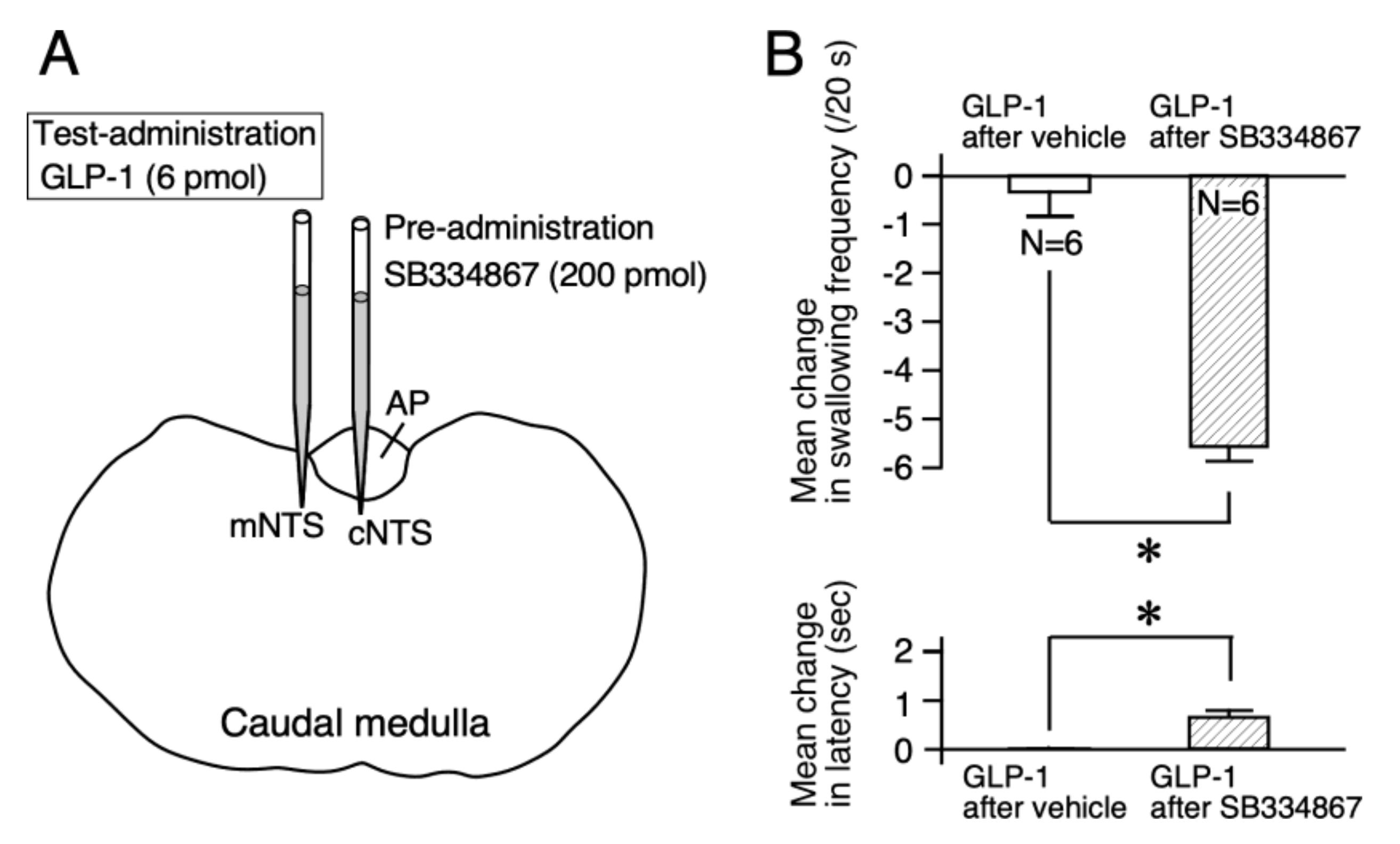 Ijms 21 04422 g003 Ijms 21 04422 g003