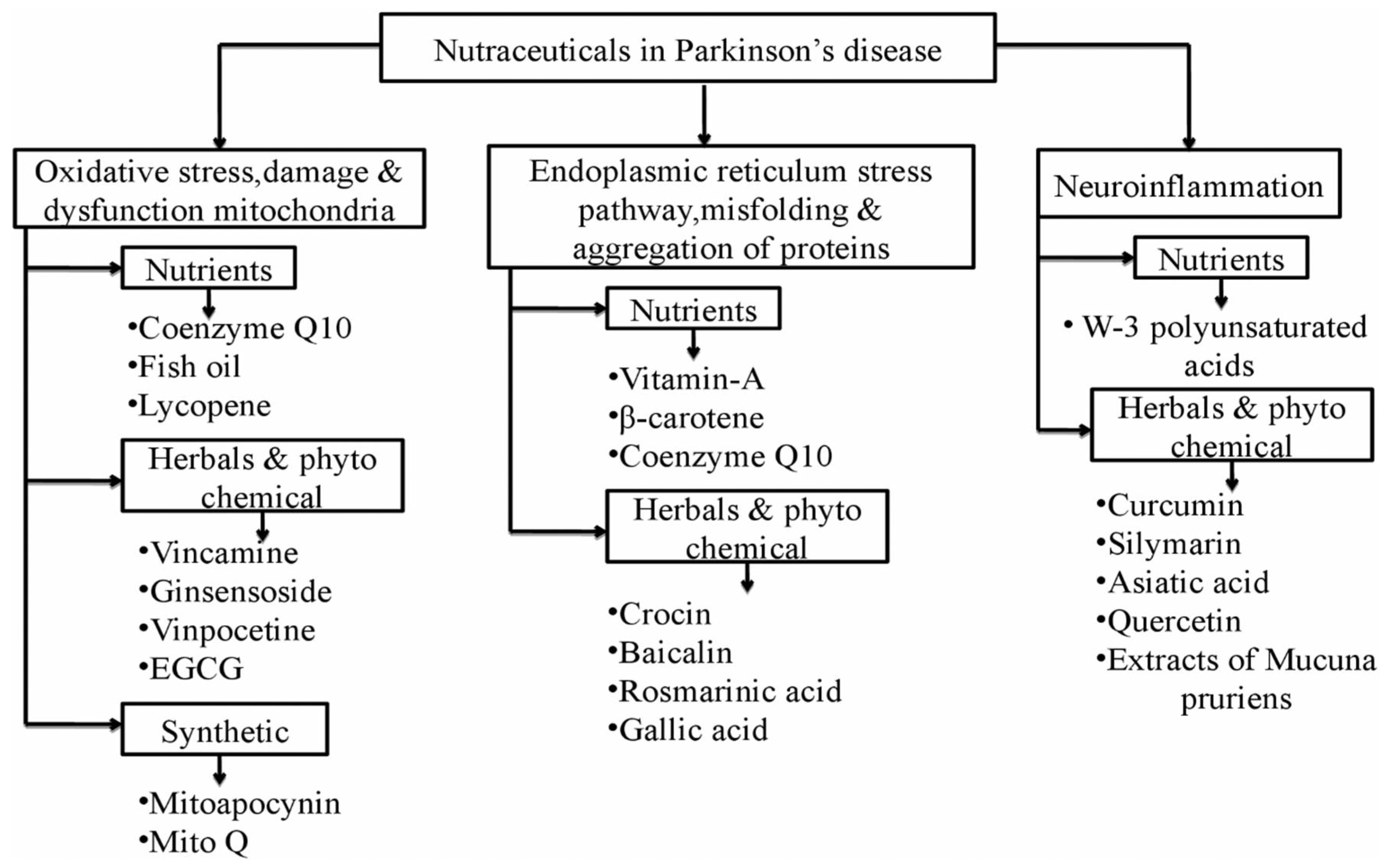 Ijms 21 04424 g003 Ijms 21 04424 g003