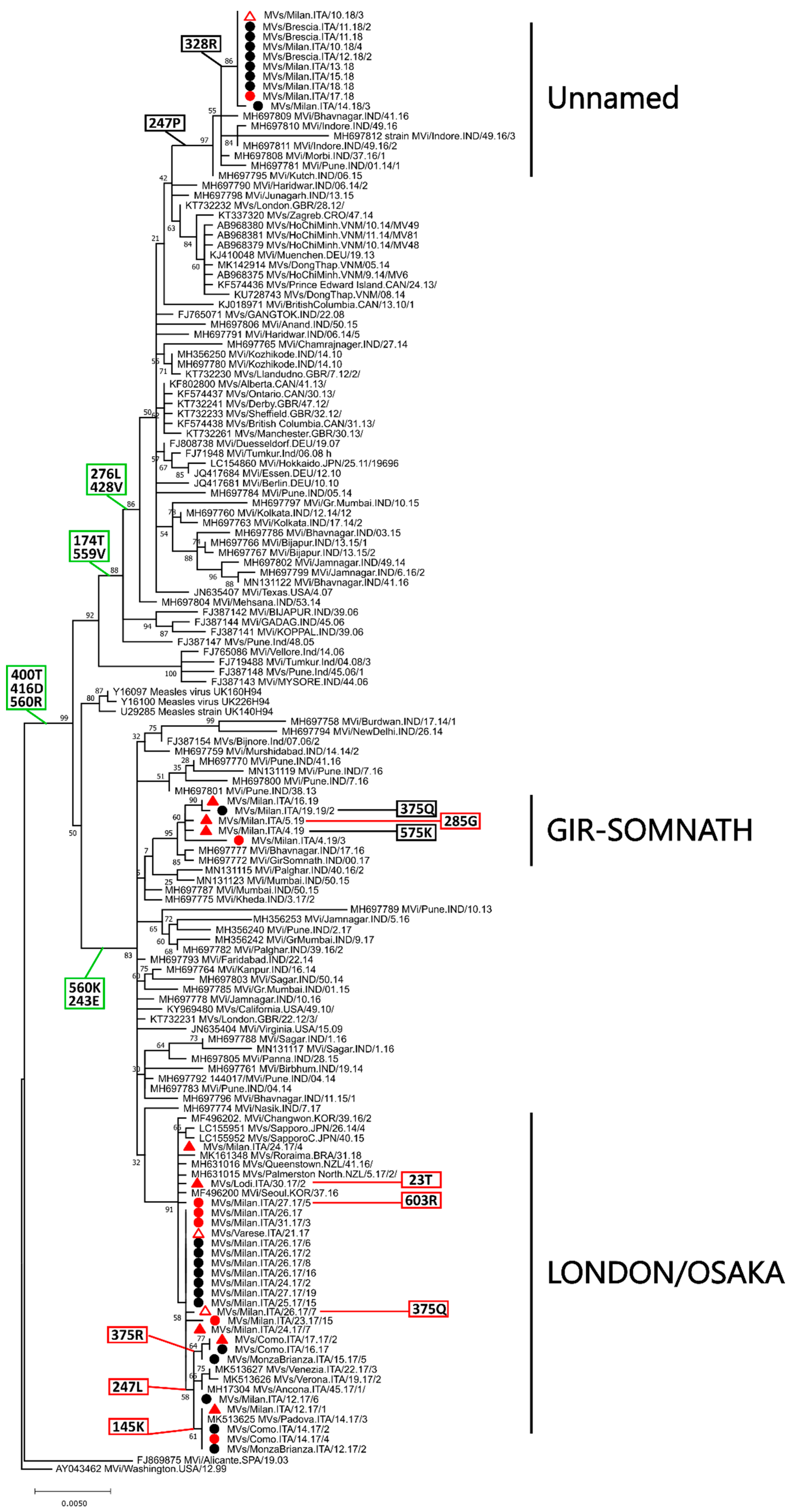 Ijms 21 04435 g004 Ijms 21 04435 g004