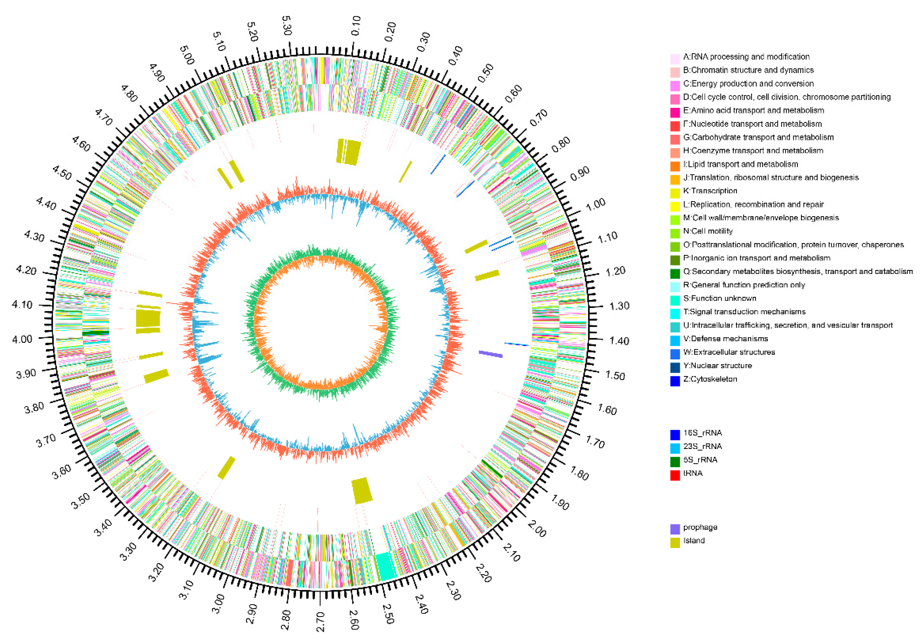 Ijms 21 04436 g002 Ijms 21 04436 g002