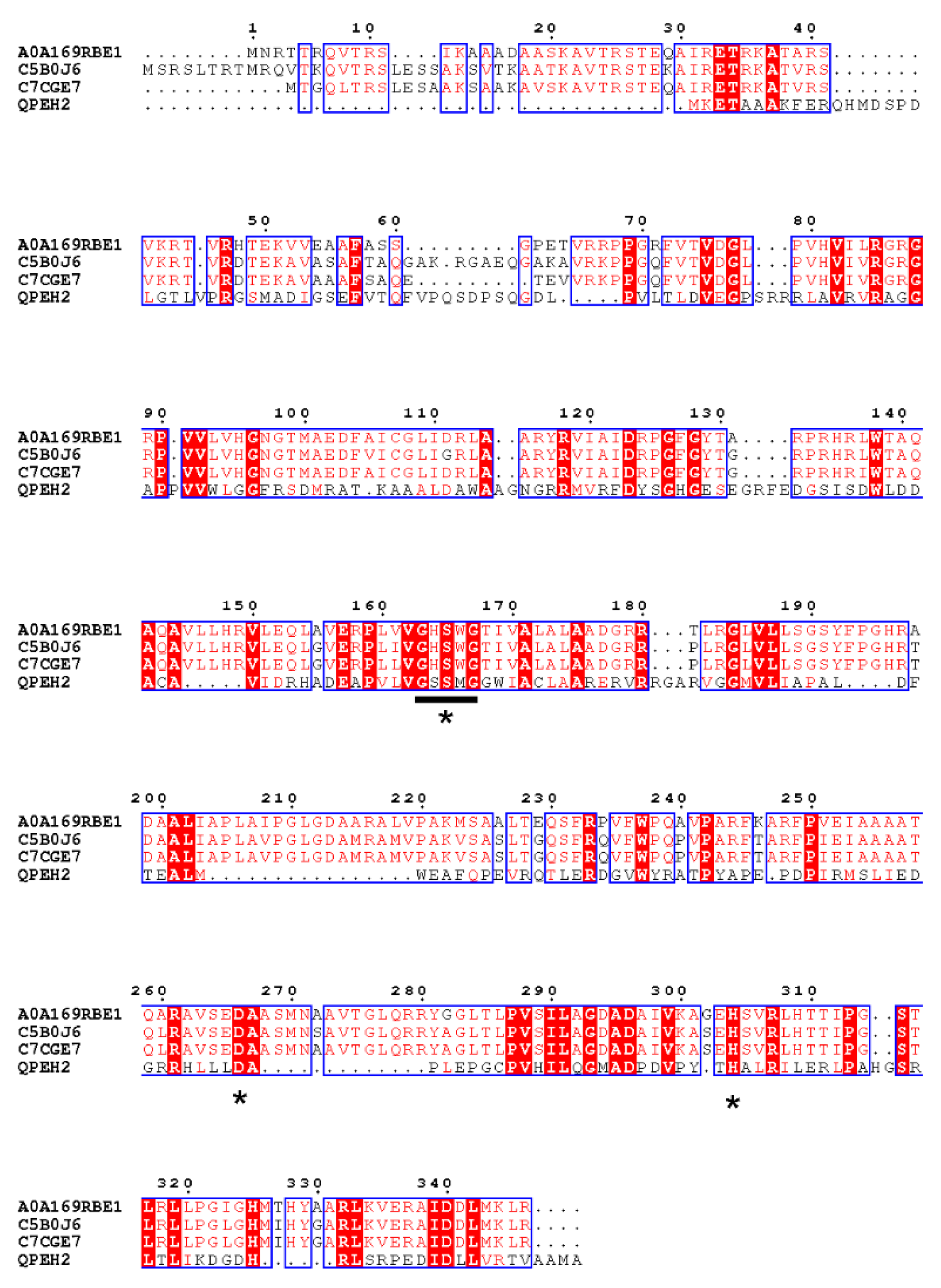 Ijms 21 04436 g003 Ijms 21 04436 g003