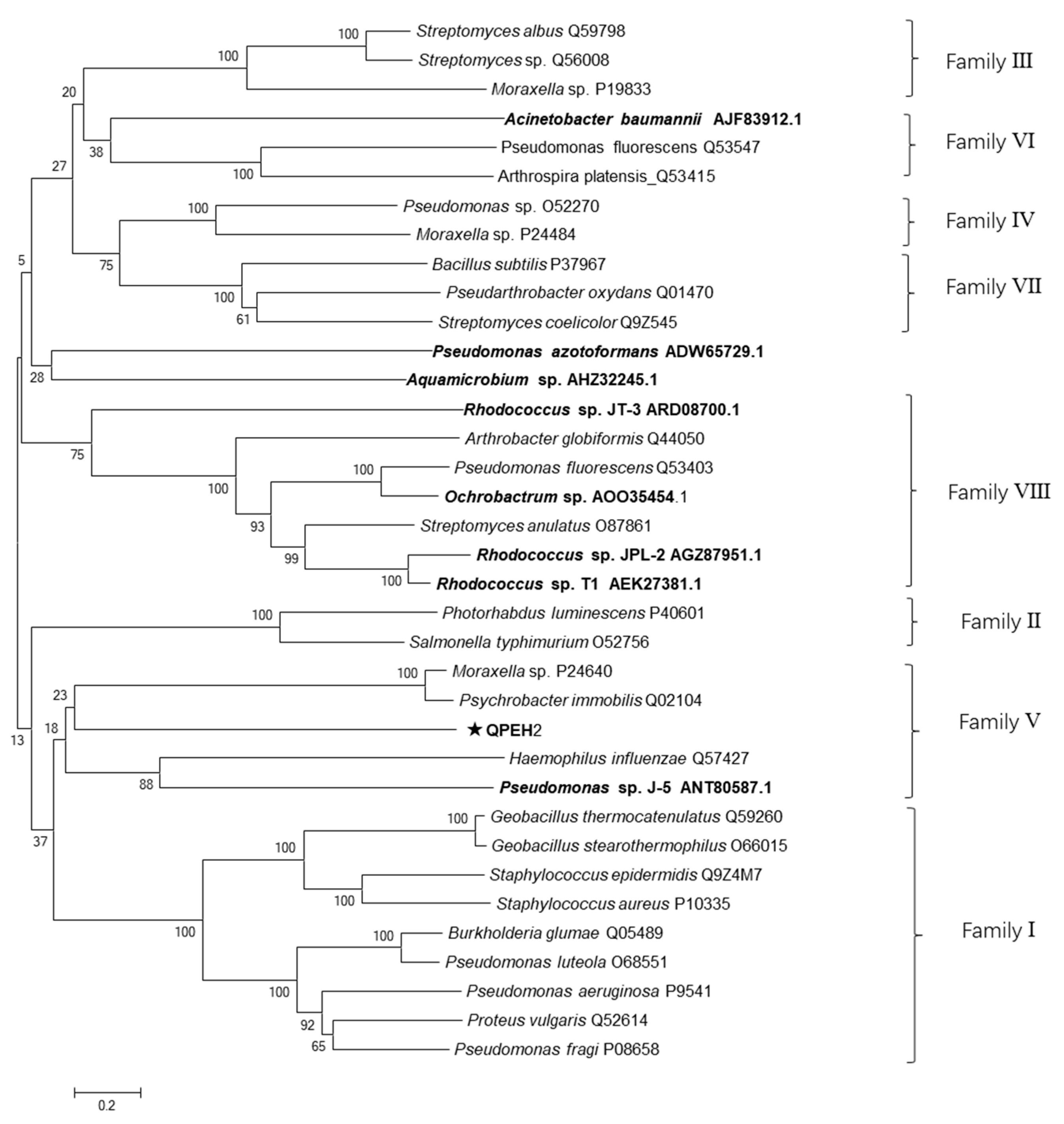 Ijms 21 04436 g004 Ijms 21 04436 g004