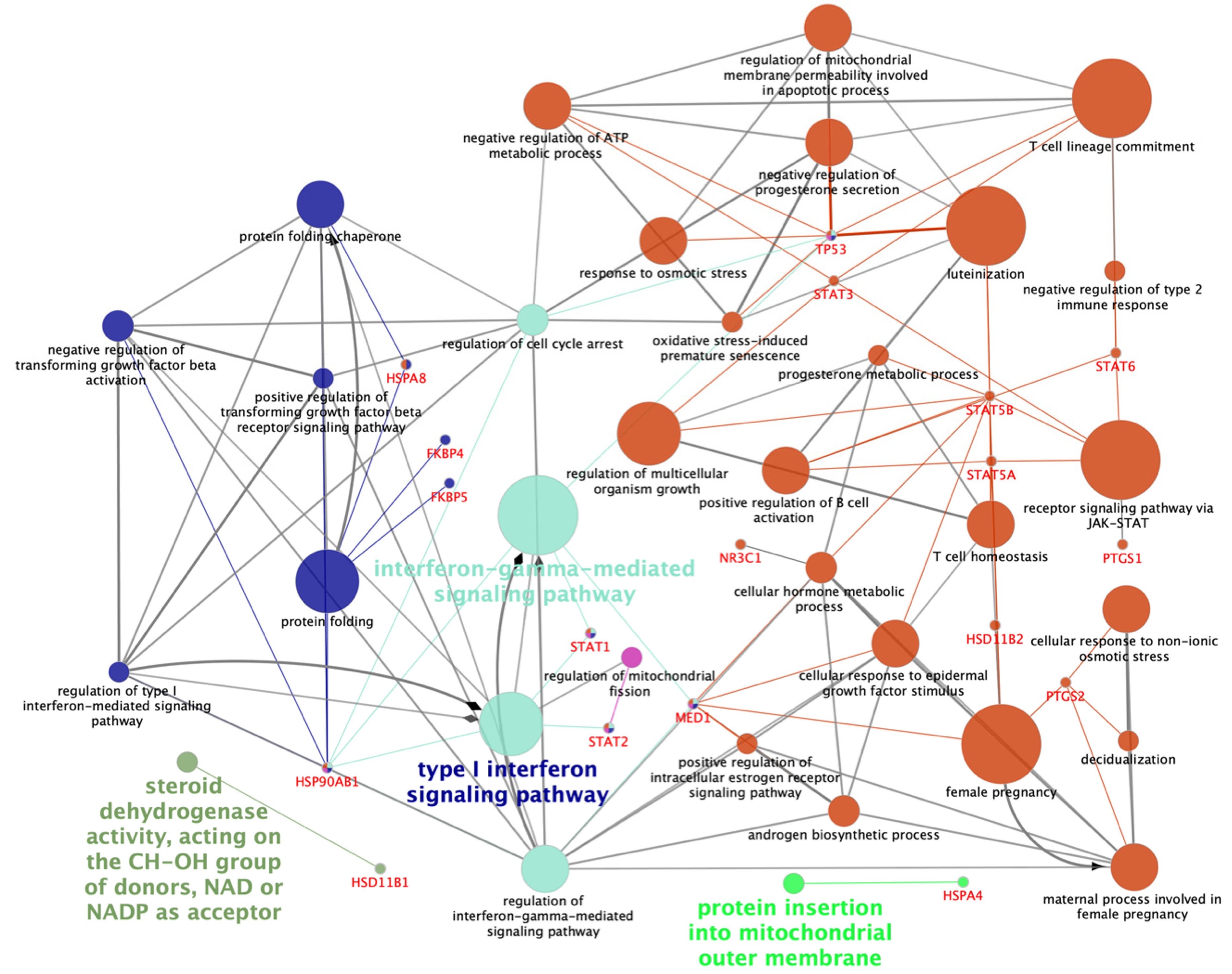 Ijms 21 04437 g001 Ijms 21 04437 g001