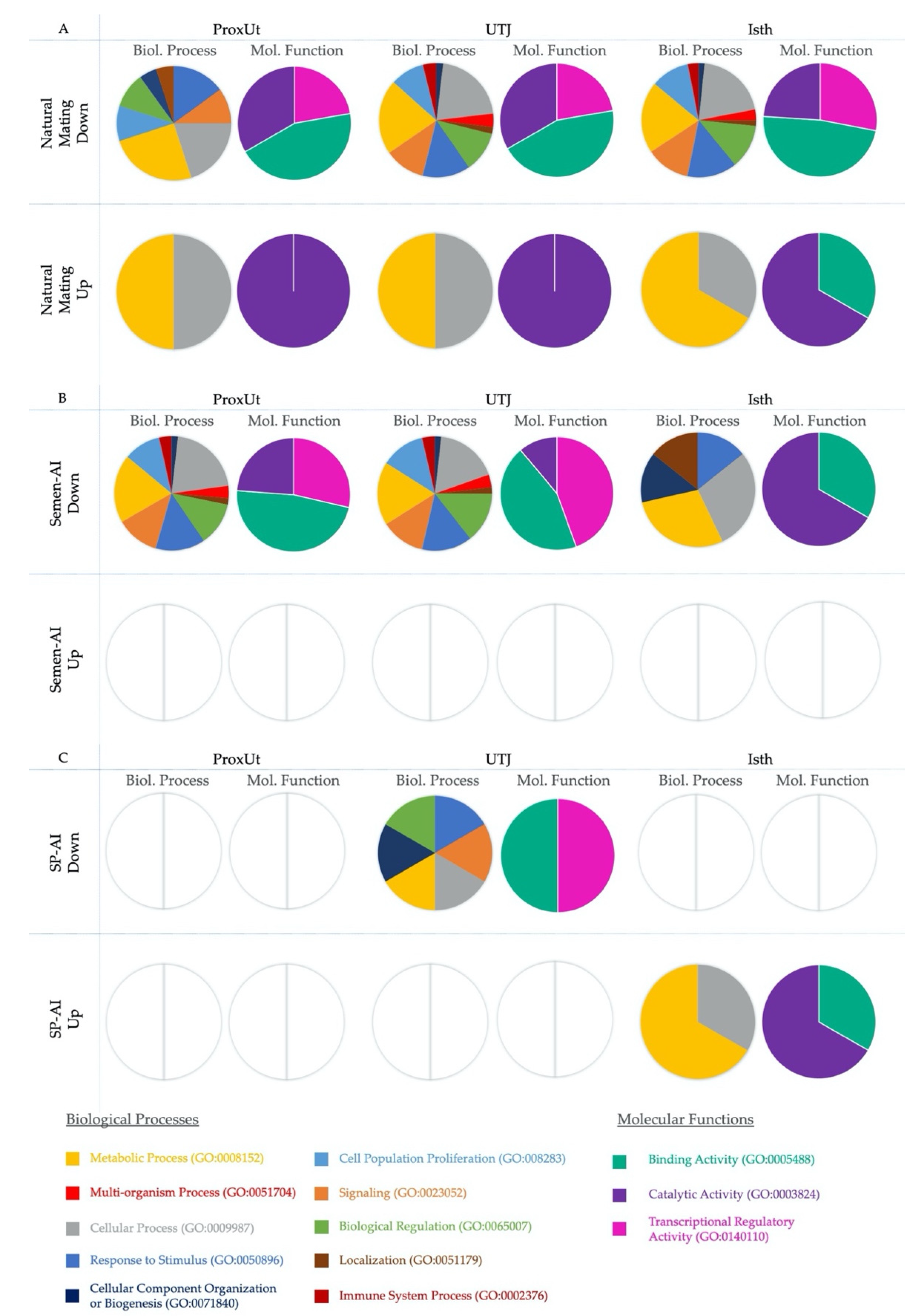 Ijms 21 04437 g004 Ijms 21 04437 g004