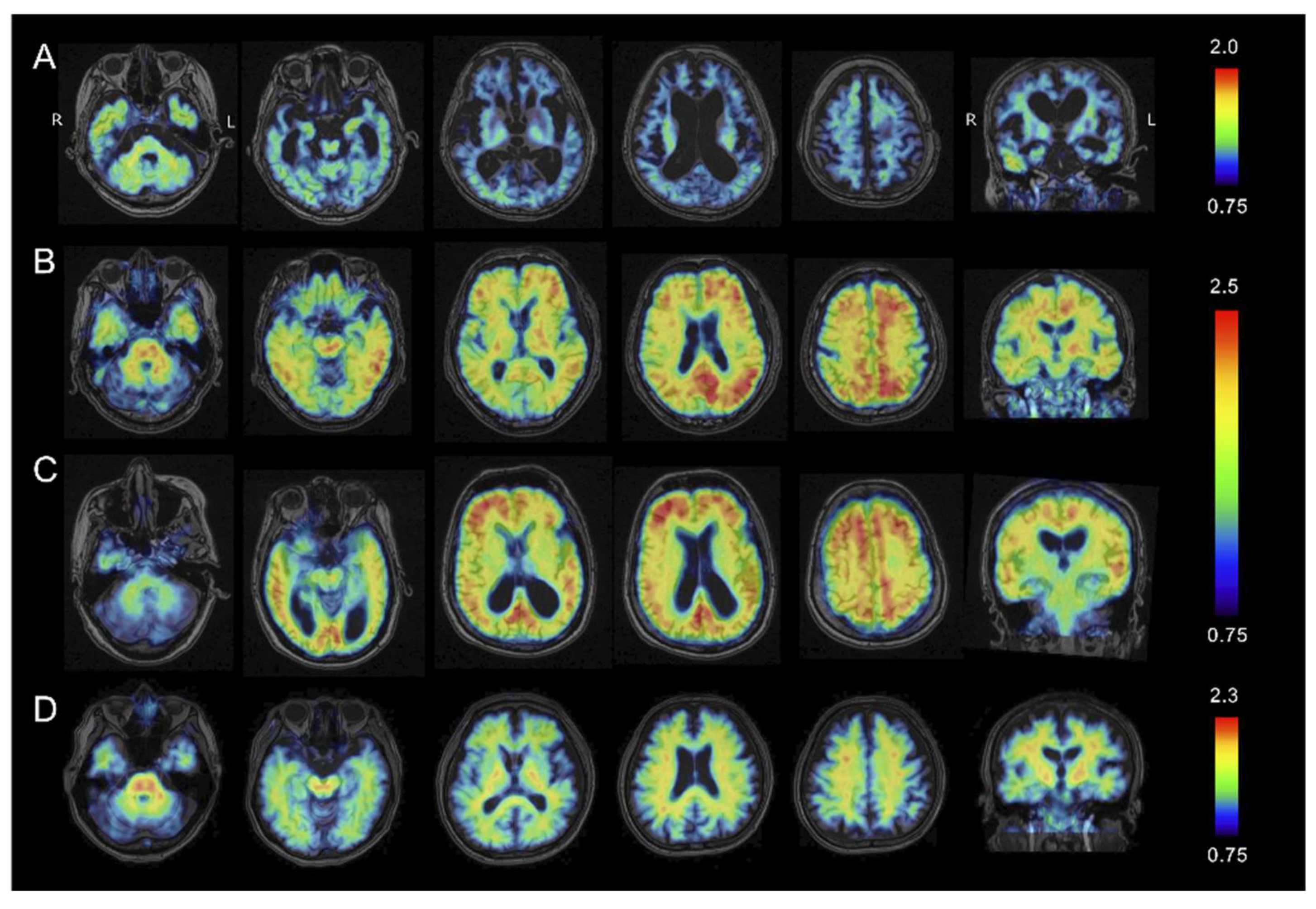 Ijms 21 04443 g004 Ijms 21 04443 g004