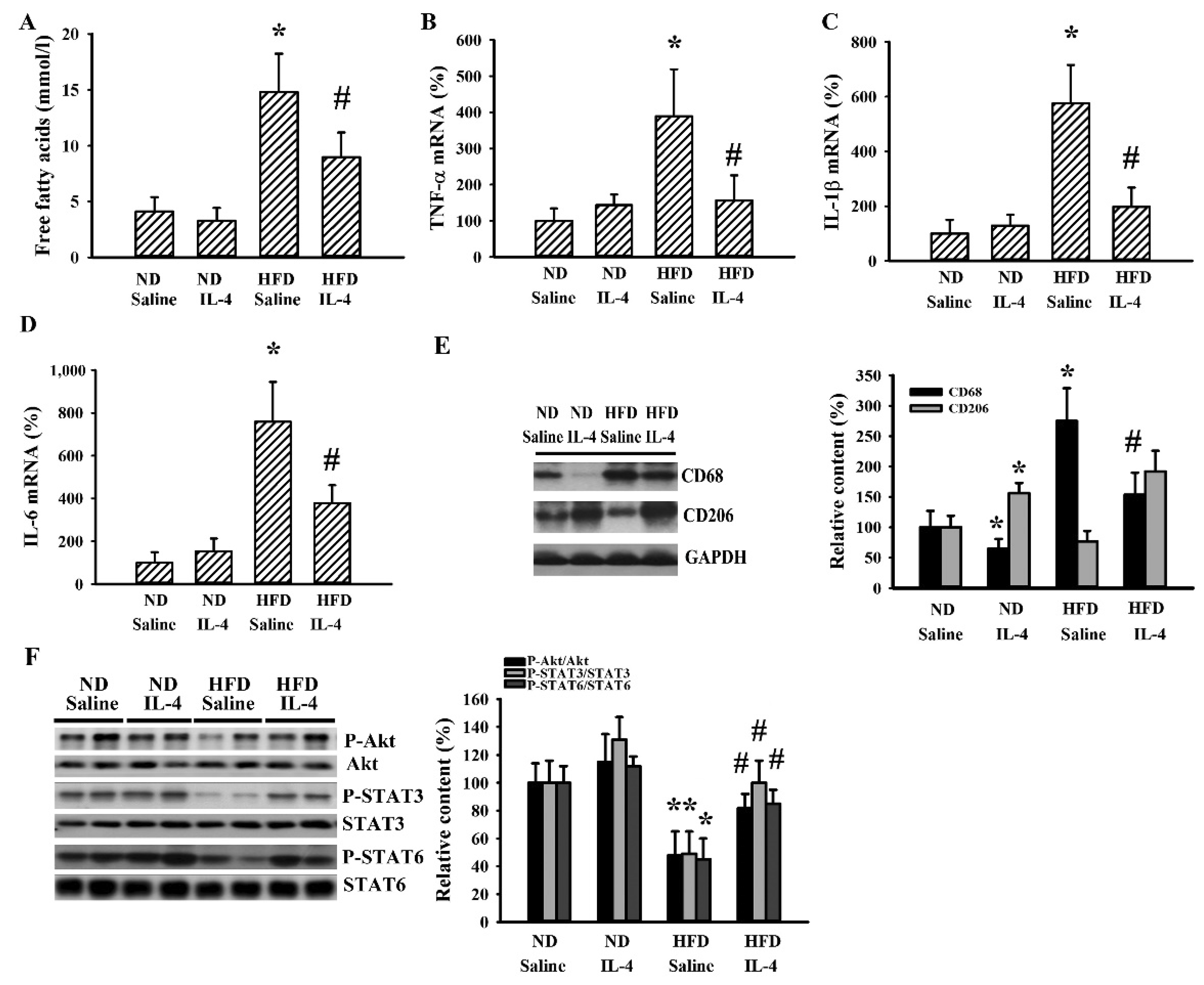 Ijms 21 04451 g009 Ijms 21 04451 g009