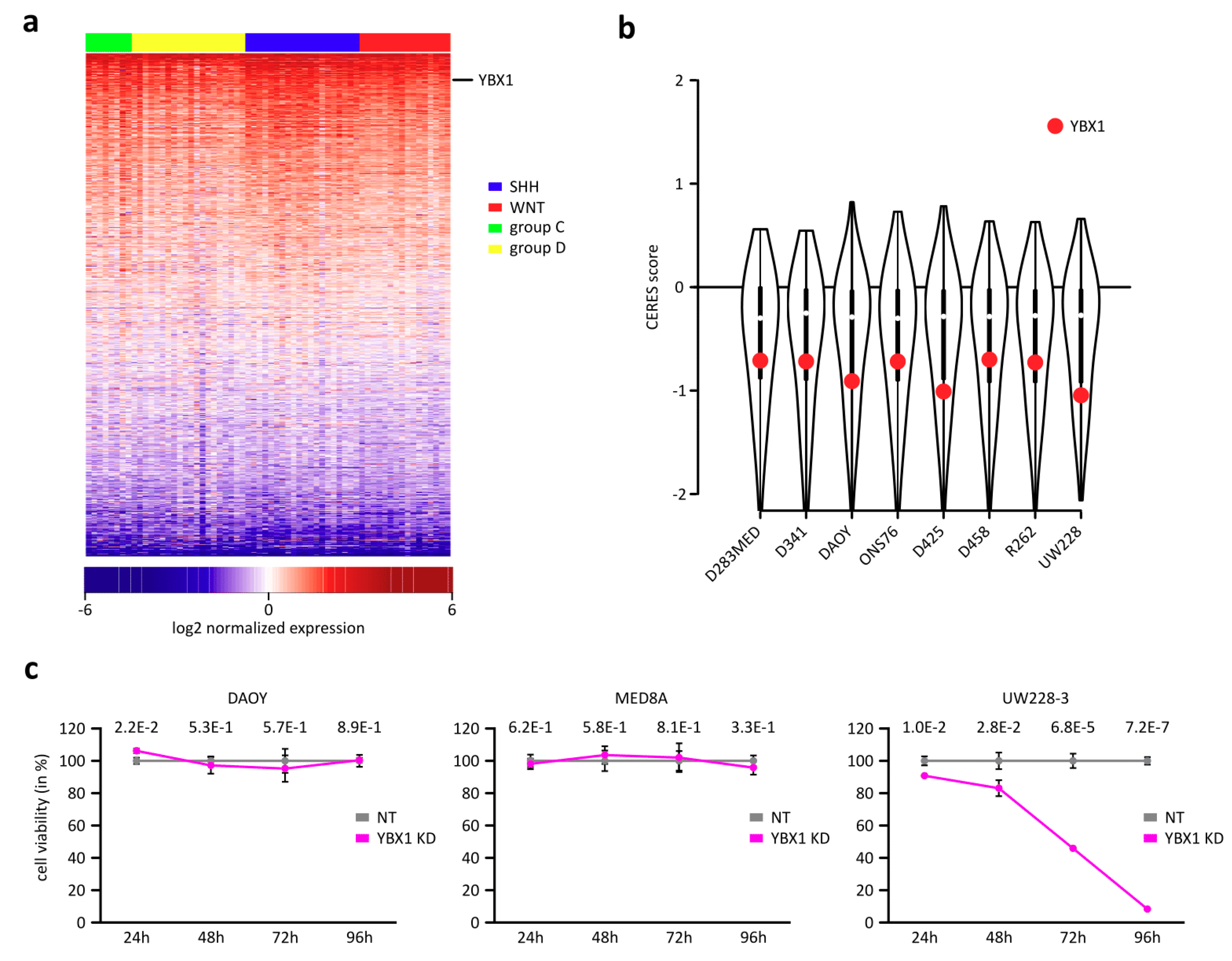 Ijms 21 04453 g001 Ijms 21 04453 g001