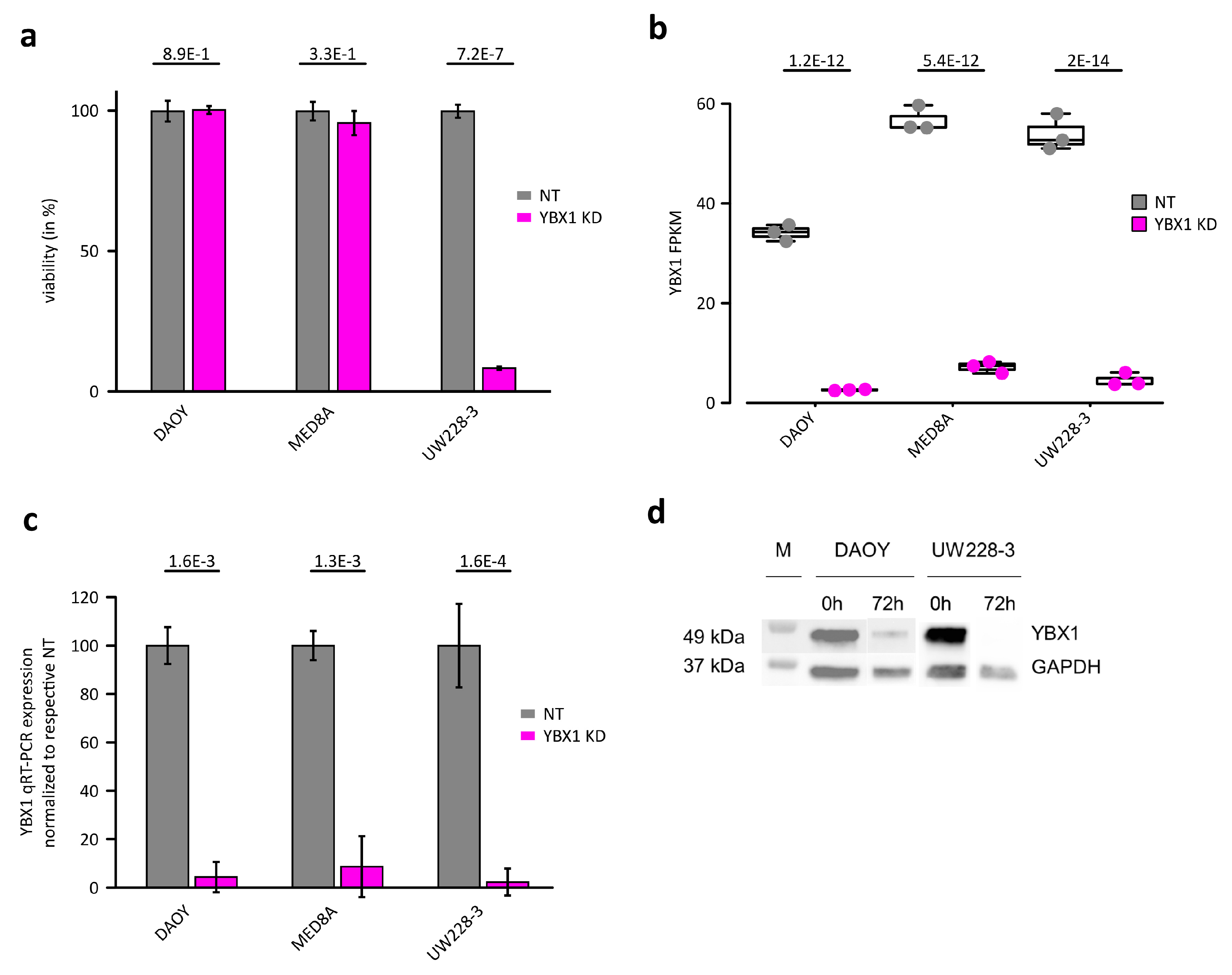 Ijms 21 04453 g0a1 Ijms 21 04453 g0a1