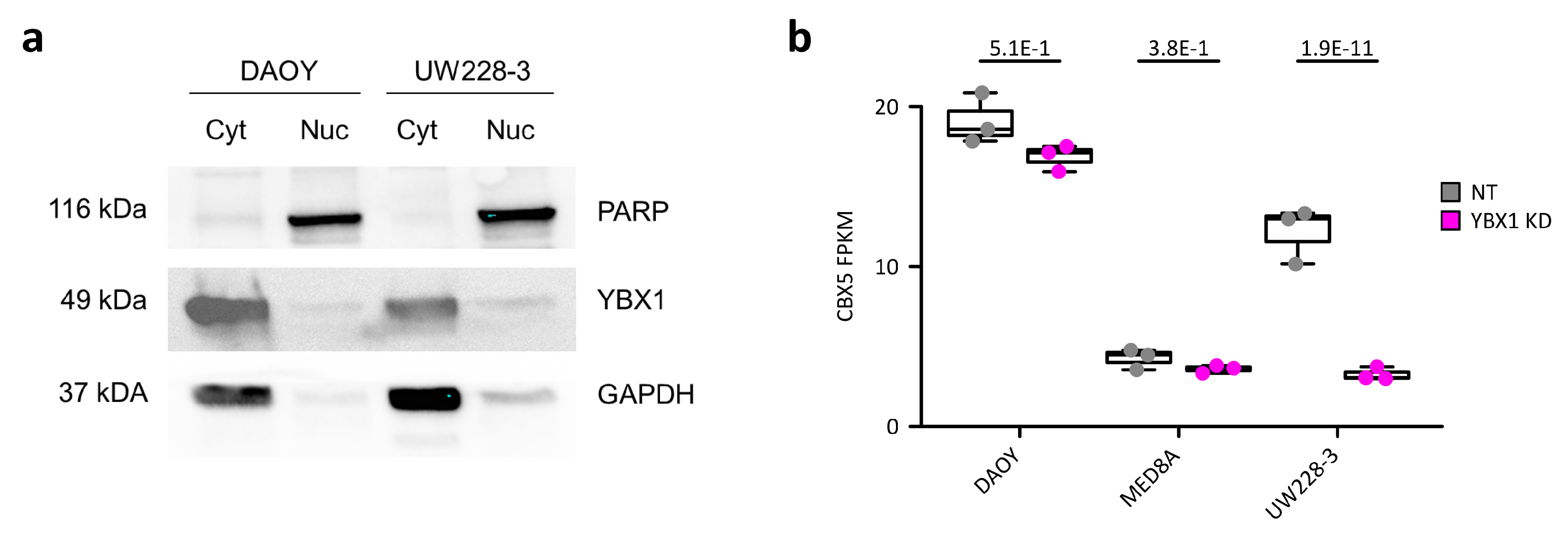Ijms 21 04453 g0a3 Ijms 21 04453 g0a3